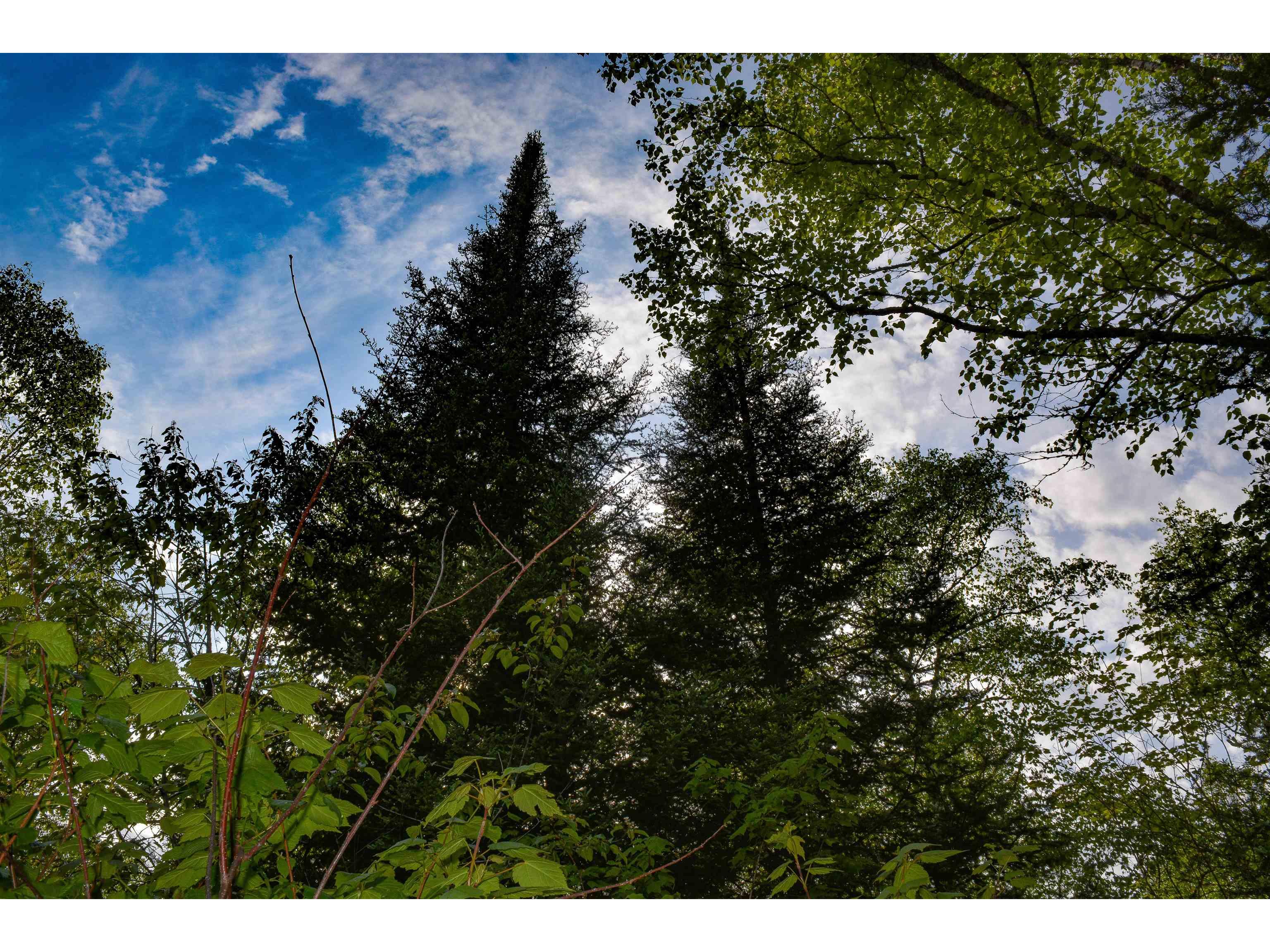 xxx County Rd 48 Grand Marais MN 55604 6119938 image1