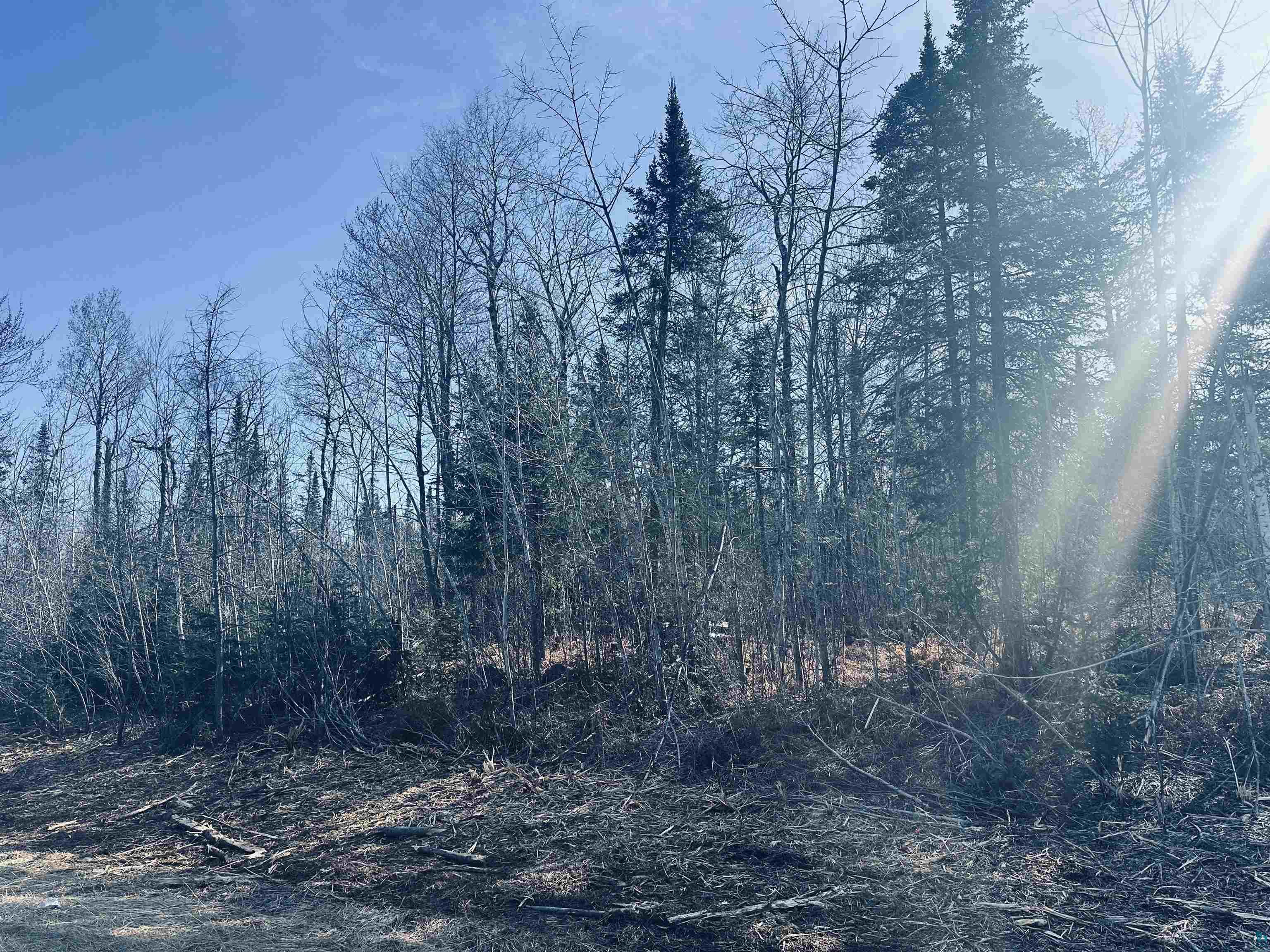 xxx County Rd 5 Carlton MN 55718 6113125 image1