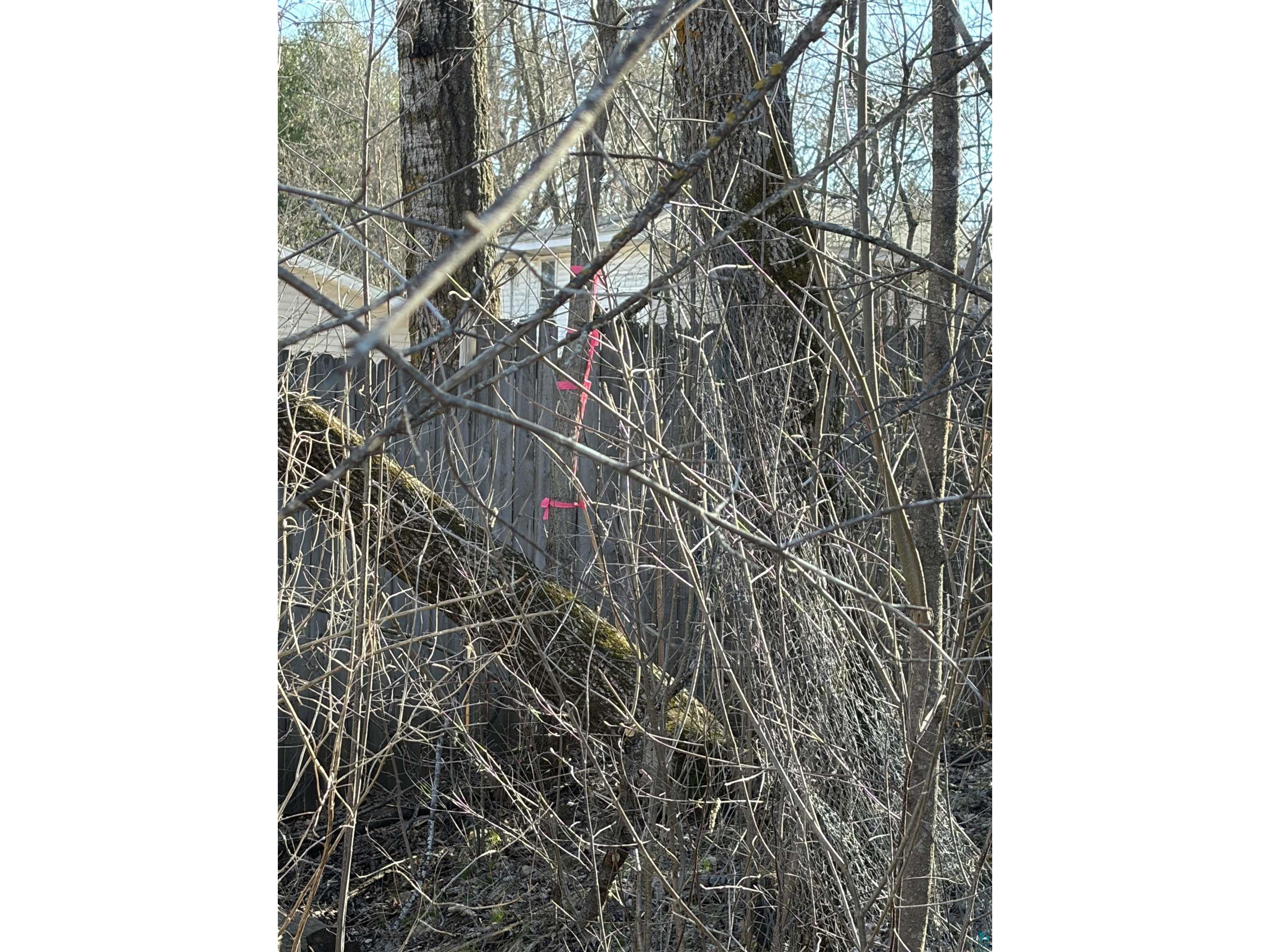 xxx Grove Ave Moose Lake MN 55767 6124670 image3