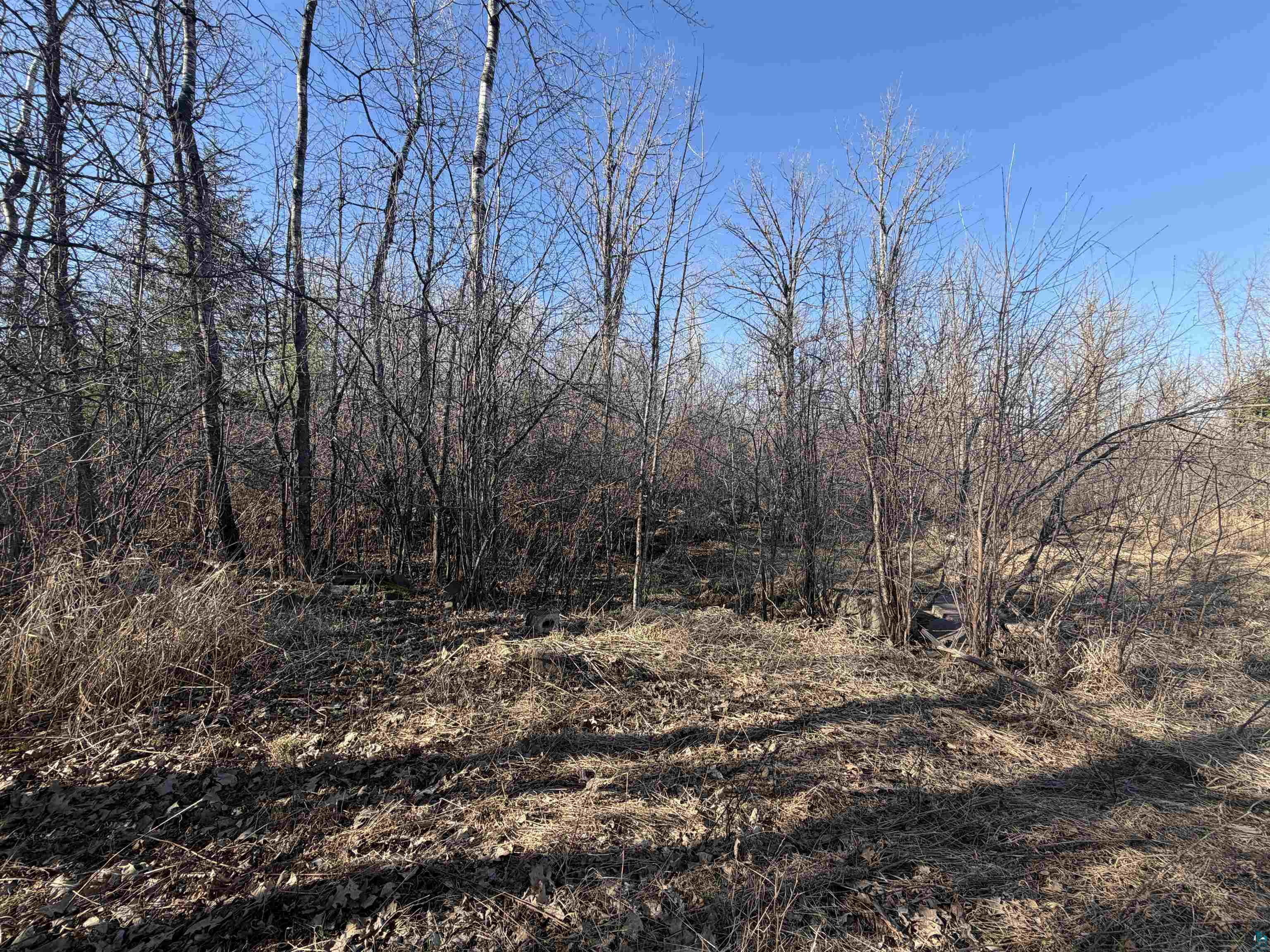 xxx Grove Ave Moose Lake MN 55767 6124670 image6
