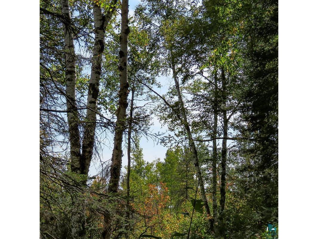 xxx Hoaglund Dr Tofte MN 55615 6121512 image1