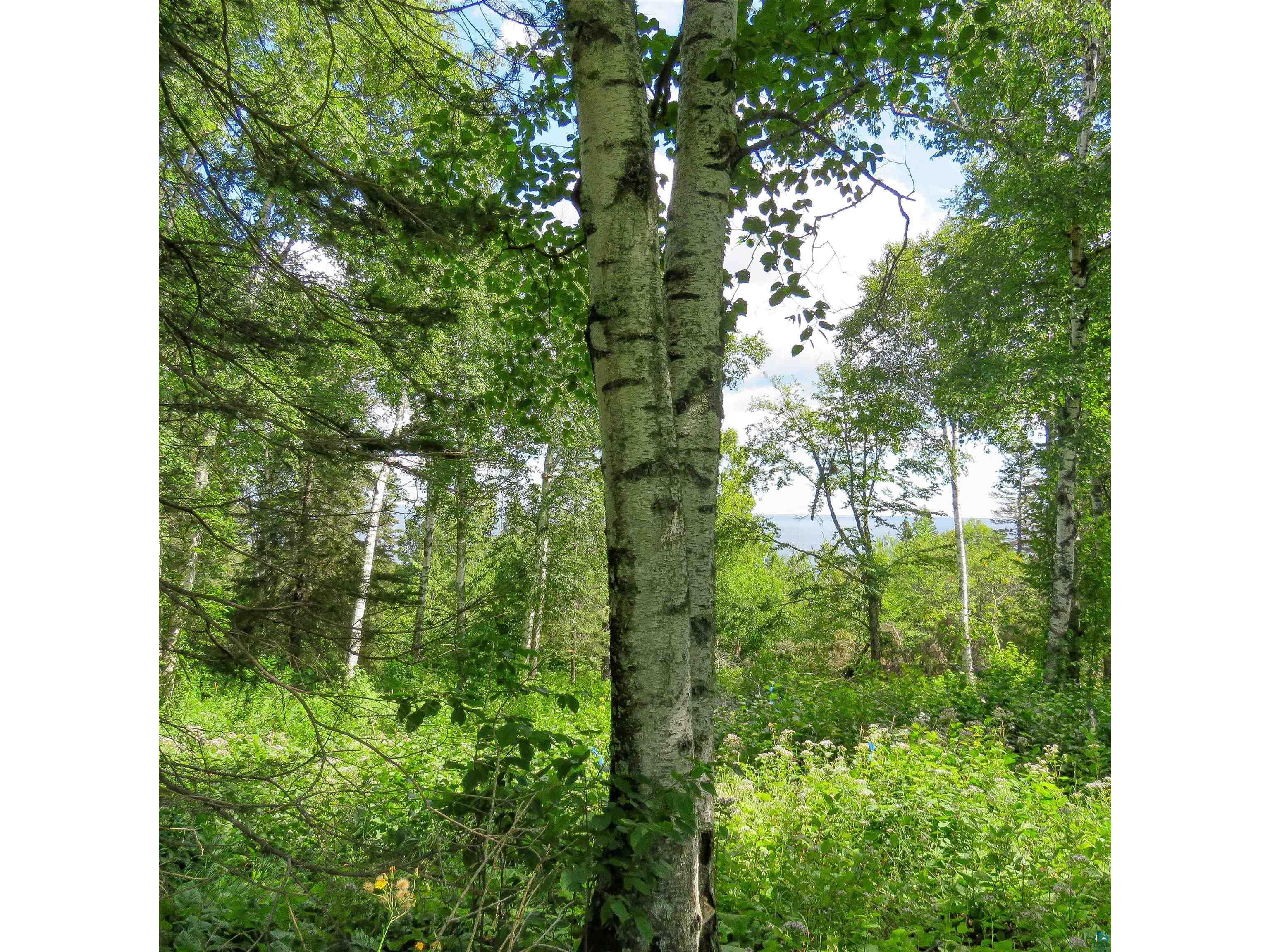 xxx Hoaglund Dr Tofte MN 55615 6121512 image11