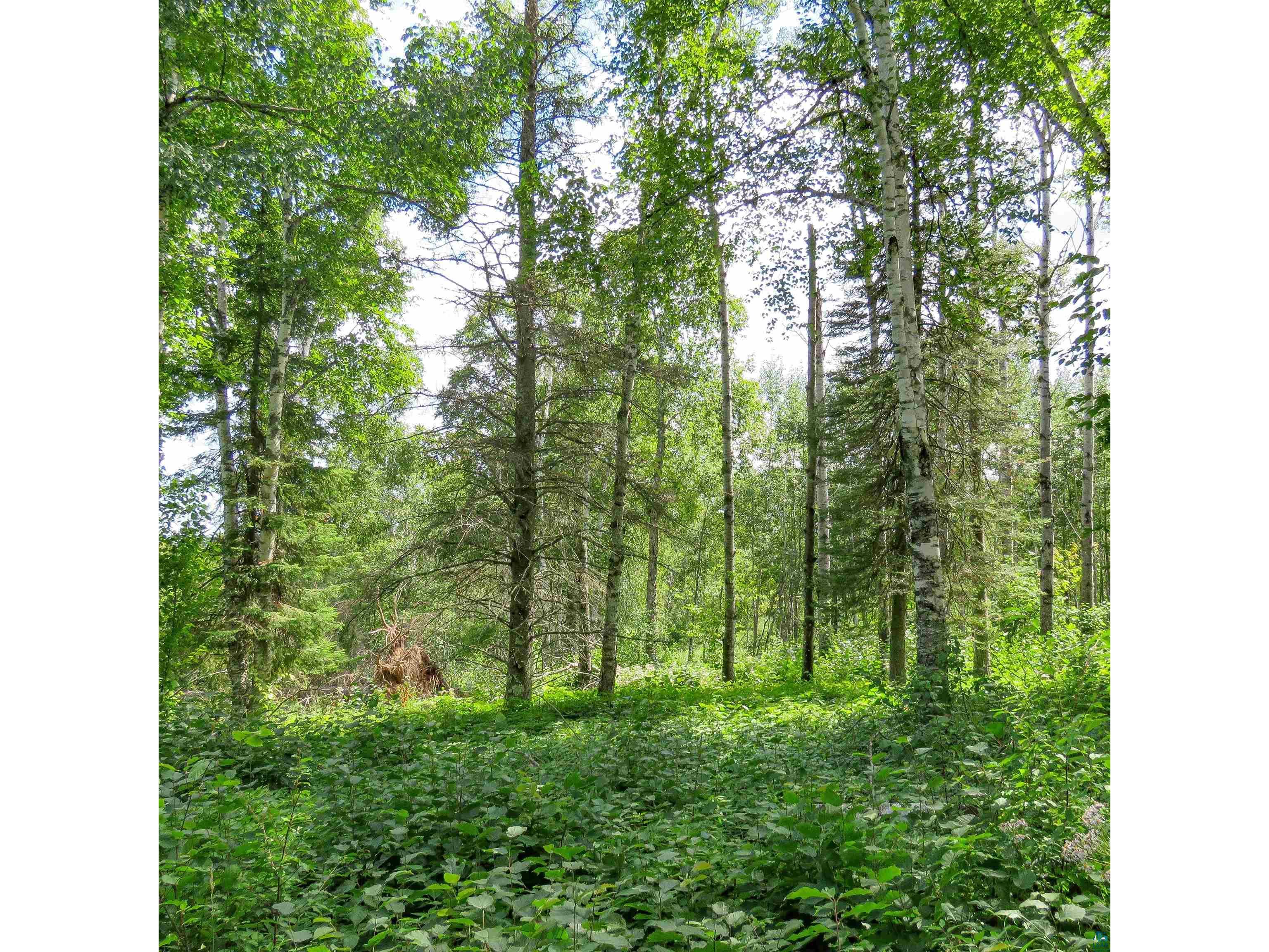 xxx Hoaglund Dr Tofte MN 55615 6121512 image12