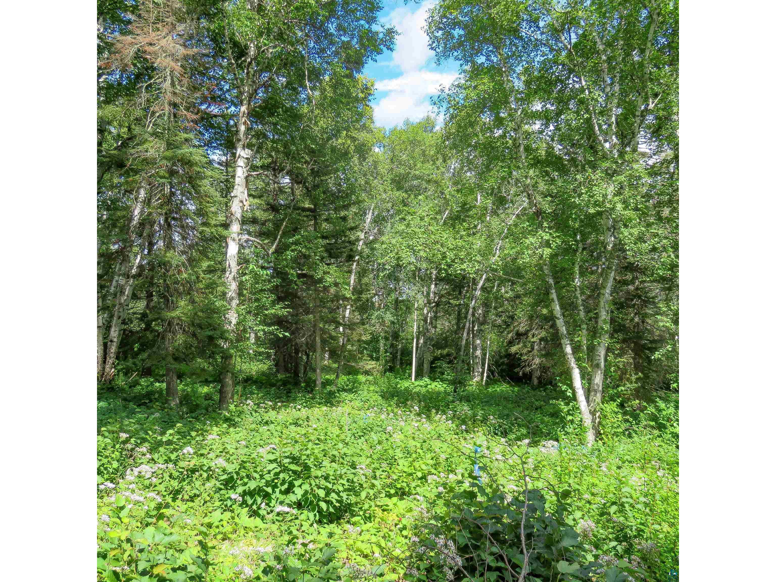 xxx Hoaglund Dr Tofte MN 55615 6121512 image13