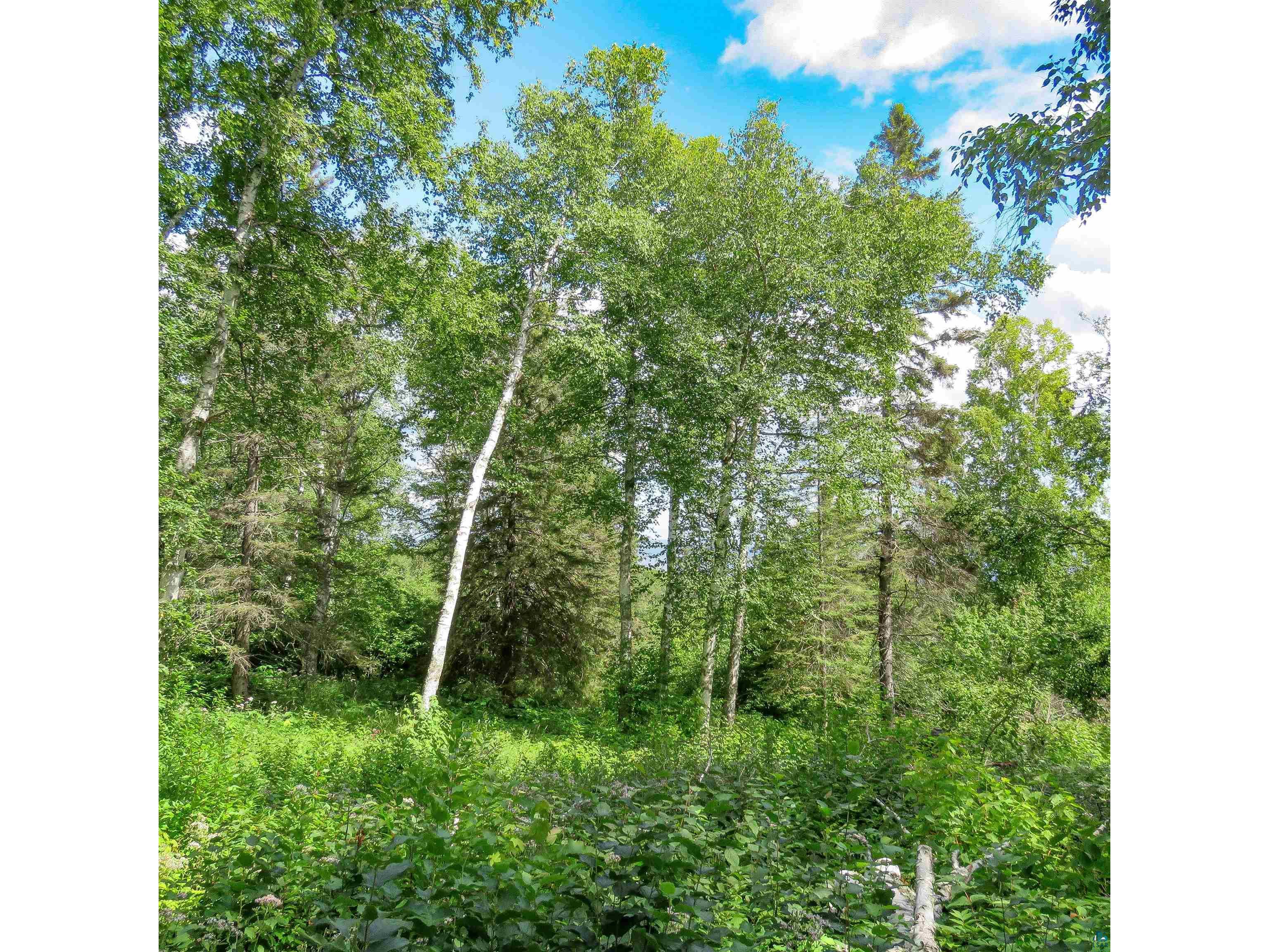xxx Hoaglund Dr Tofte MN 55615 6121512 image14