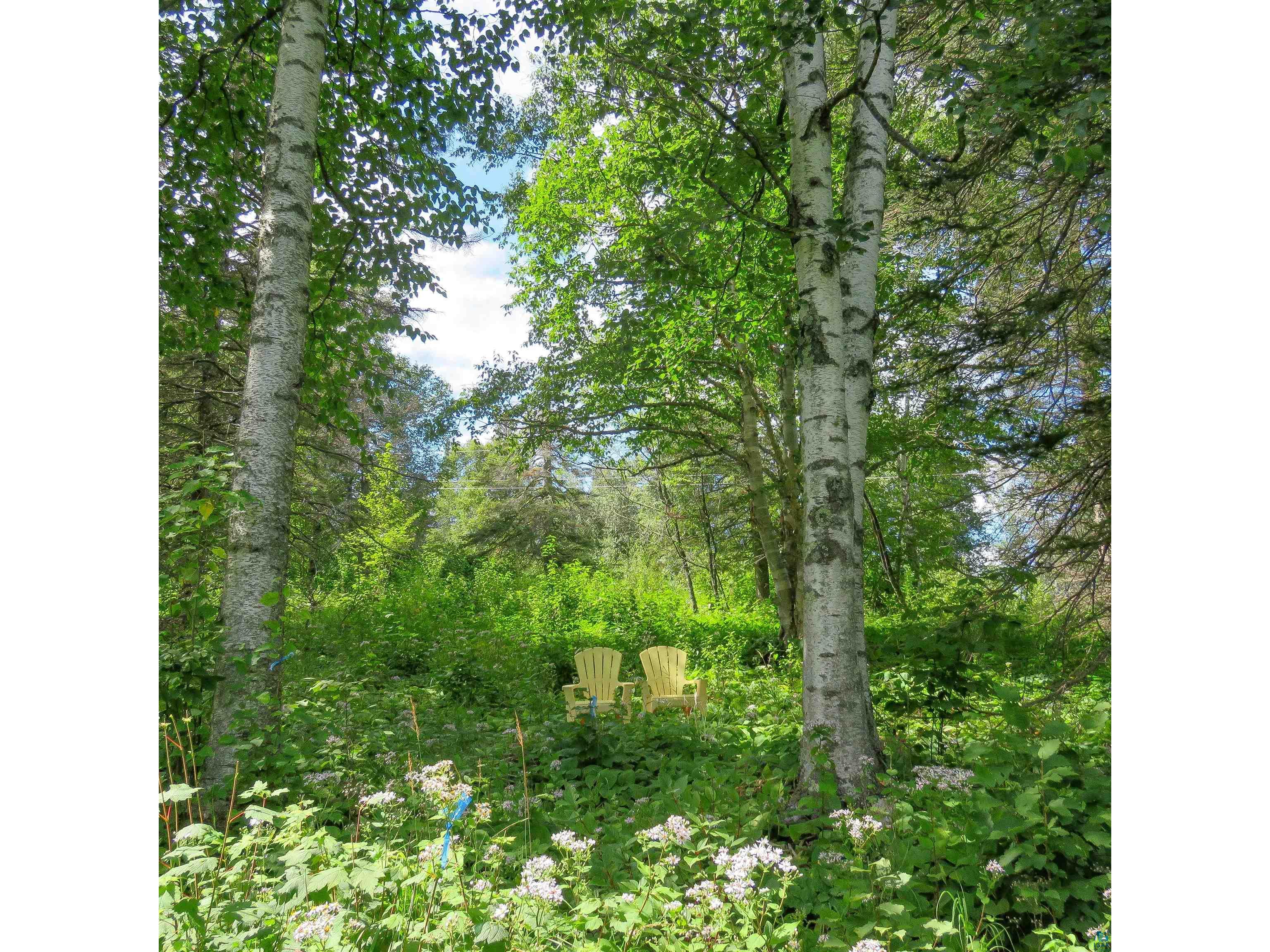 xxx Hoaglund Dr Tofte MN 55615 6121512 image15