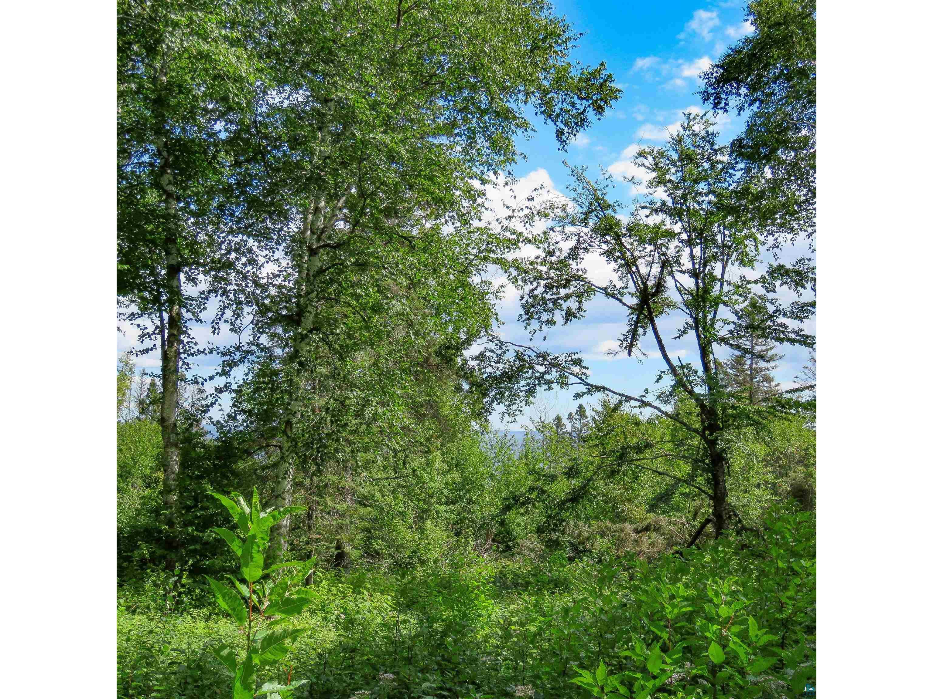 xxx Hoaglund Dr Tofte MN 55615 6121512 image18