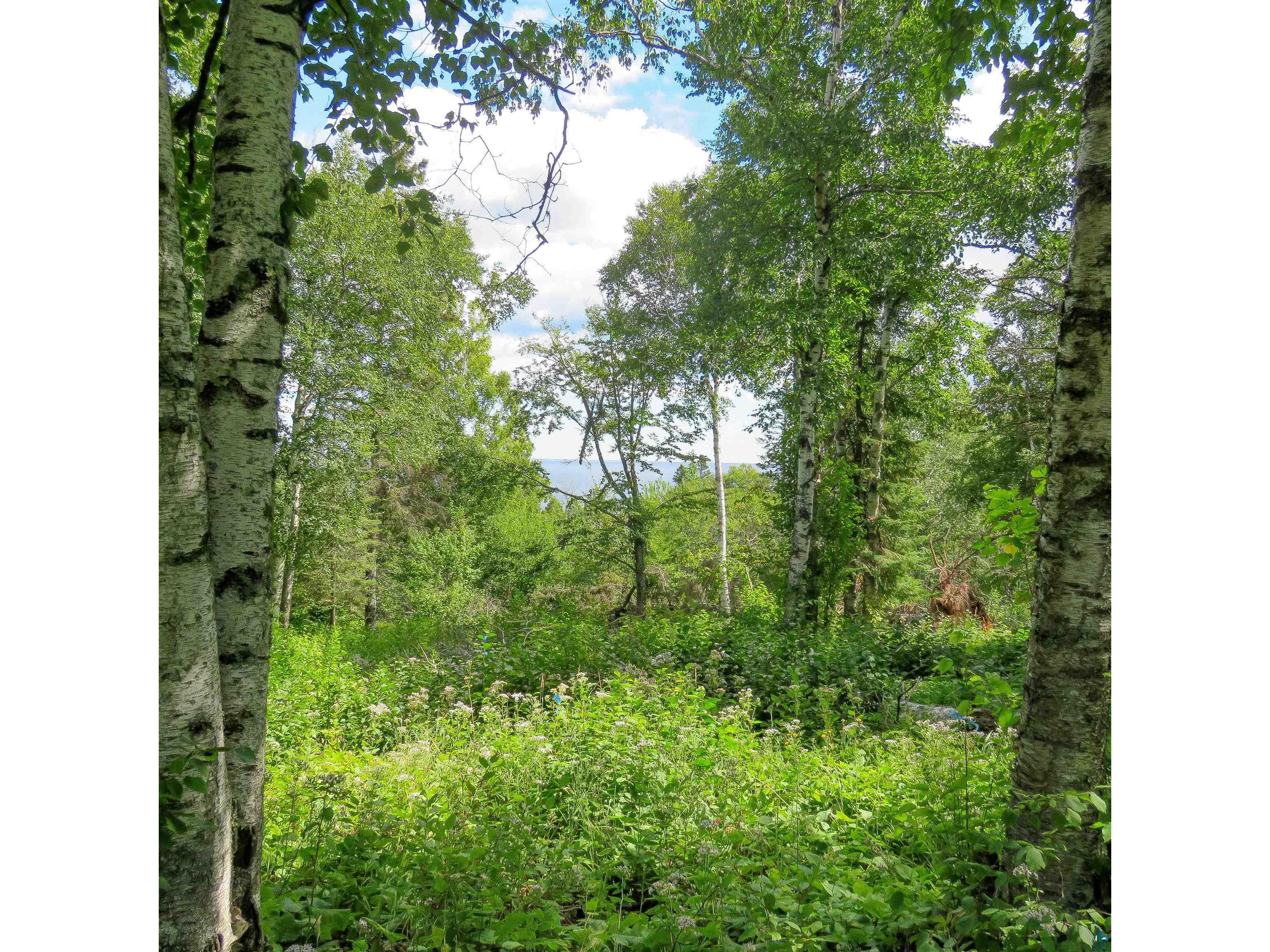 xxx Hoaglund Dr Tofte MN 55615 6121512 image2