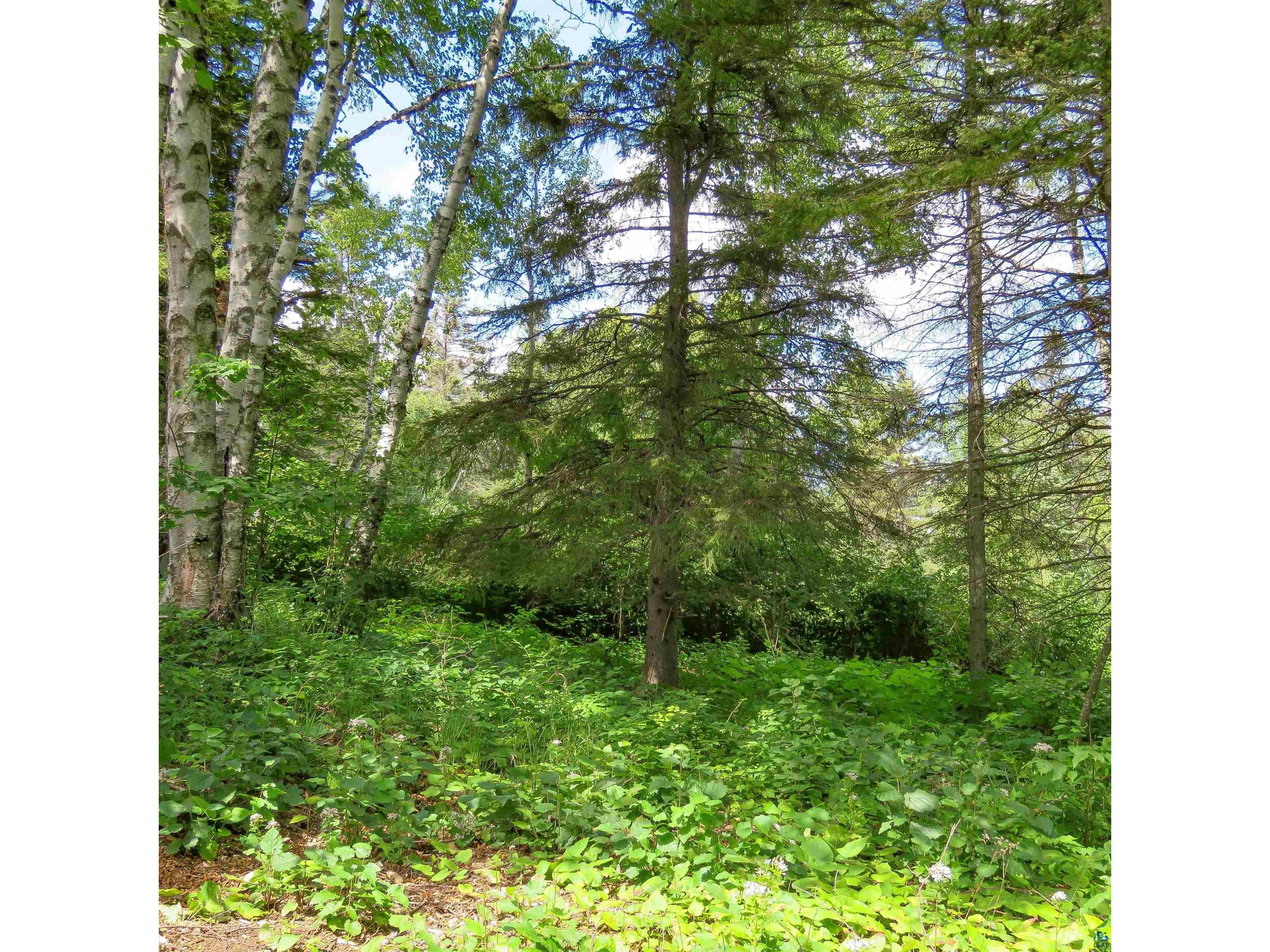 xxx Hoaglund Dr Tofte MN 55615 6121512 image21