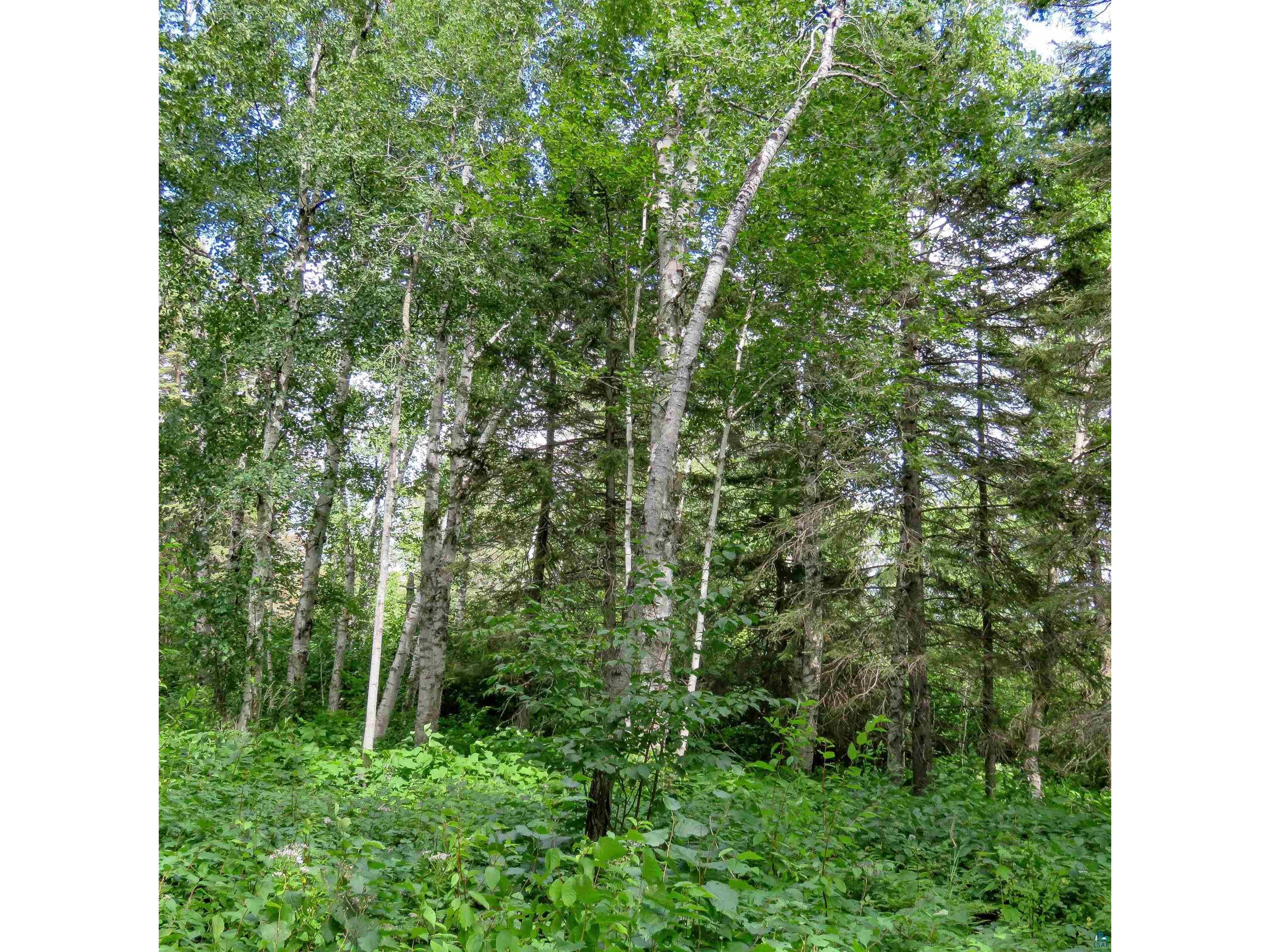 xxx Hoaglund Dr Tofte MN 55615 6121512 image22
