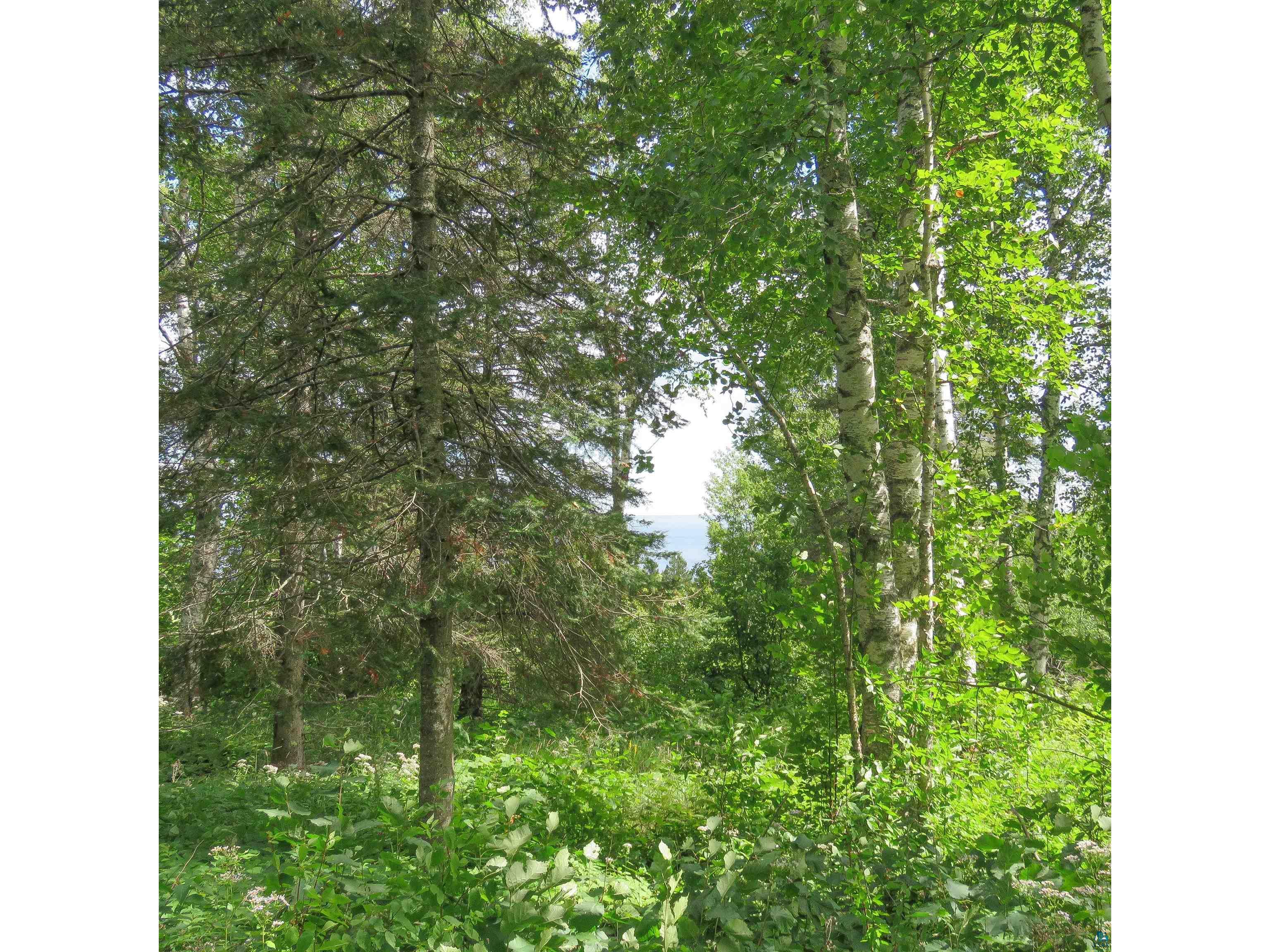 xxx Hoaglund Dr Tofte MN 55615 6121512 image23