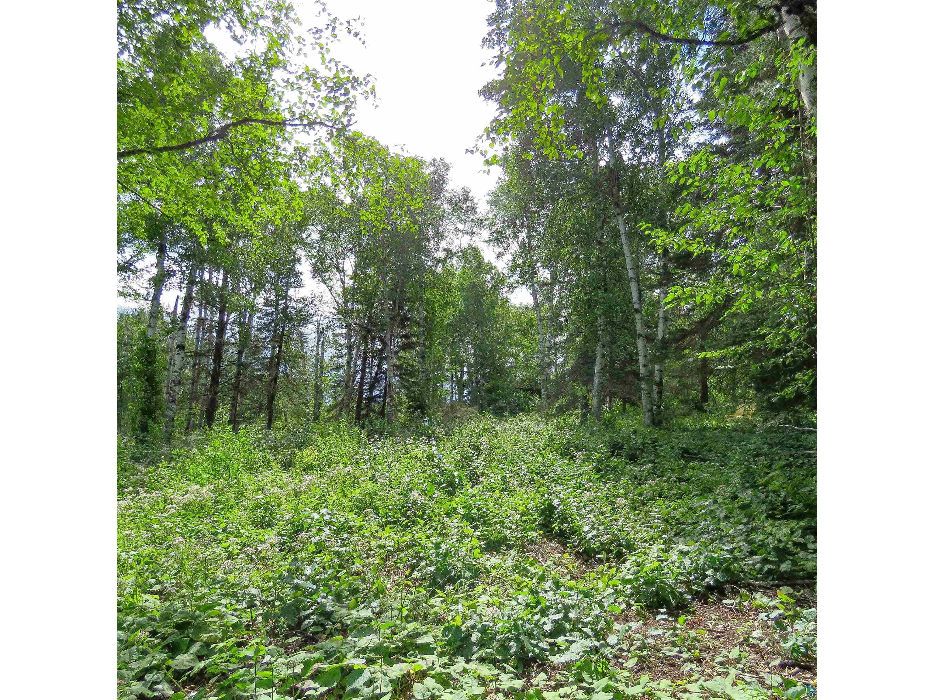 xxx Hoaglund Dr Tofte MN 55615 6121512 image24