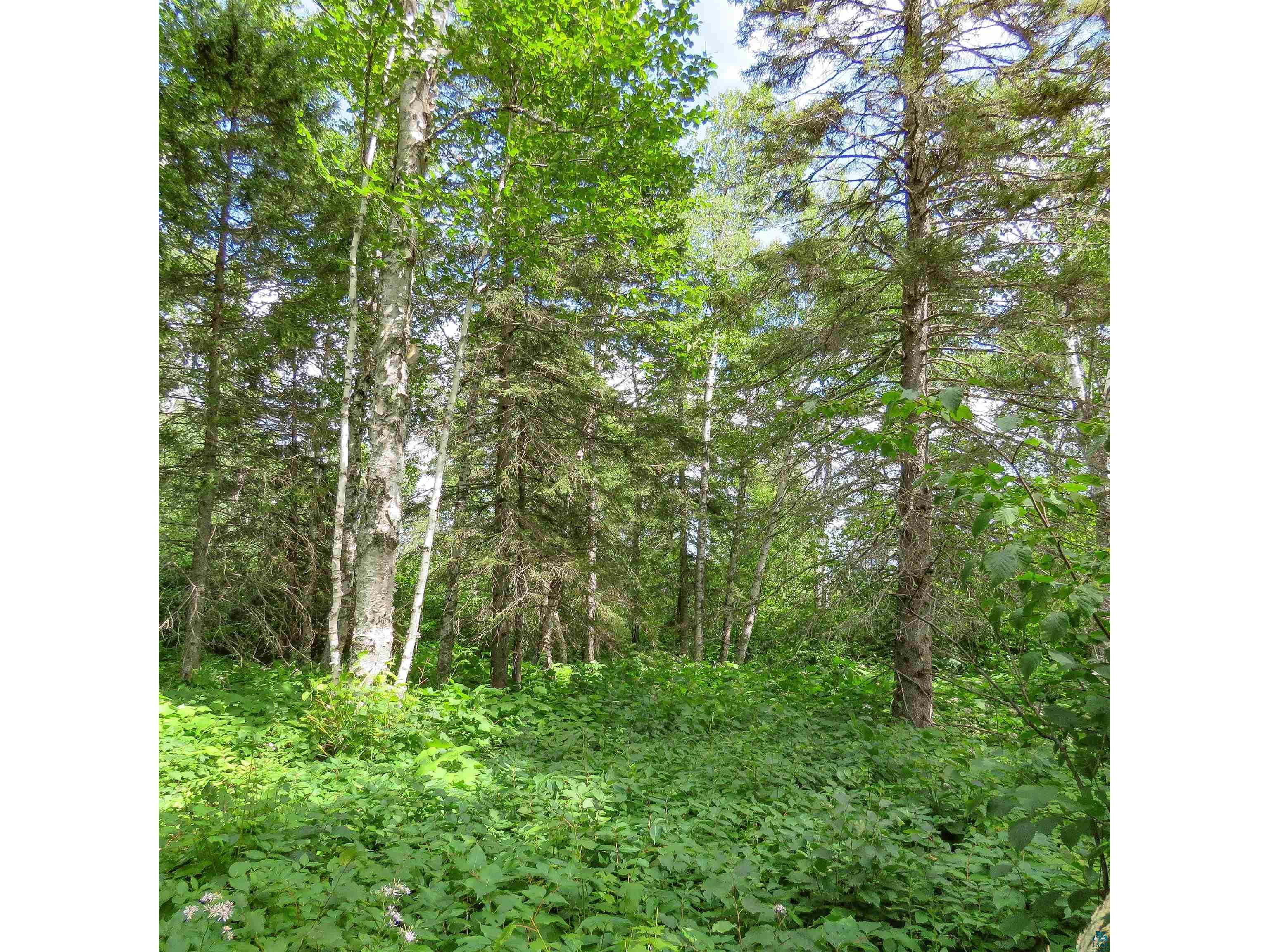xxx Hoaglund Dr Tofte MN 55615 6121512 image25