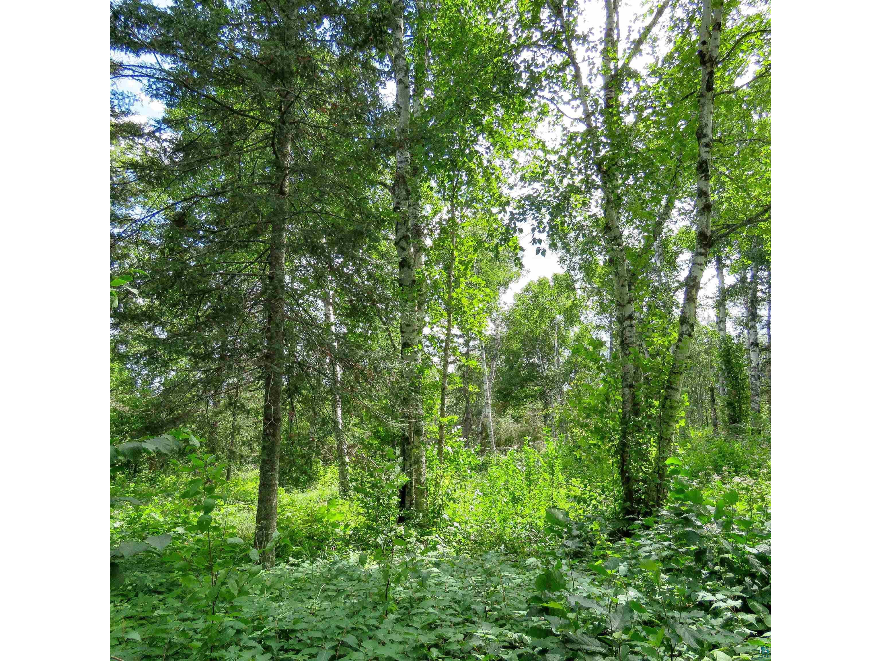 xxx Hoaglund Dr Tofte MN 55615 6121512 image26