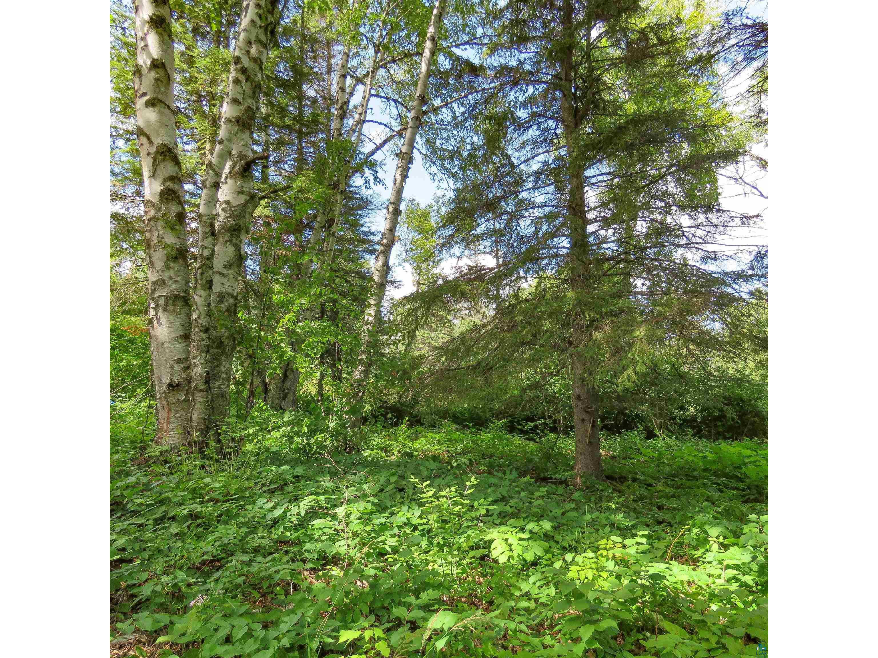 xxx Hoaglund Dr Tofte MN 55615 6121512 image27