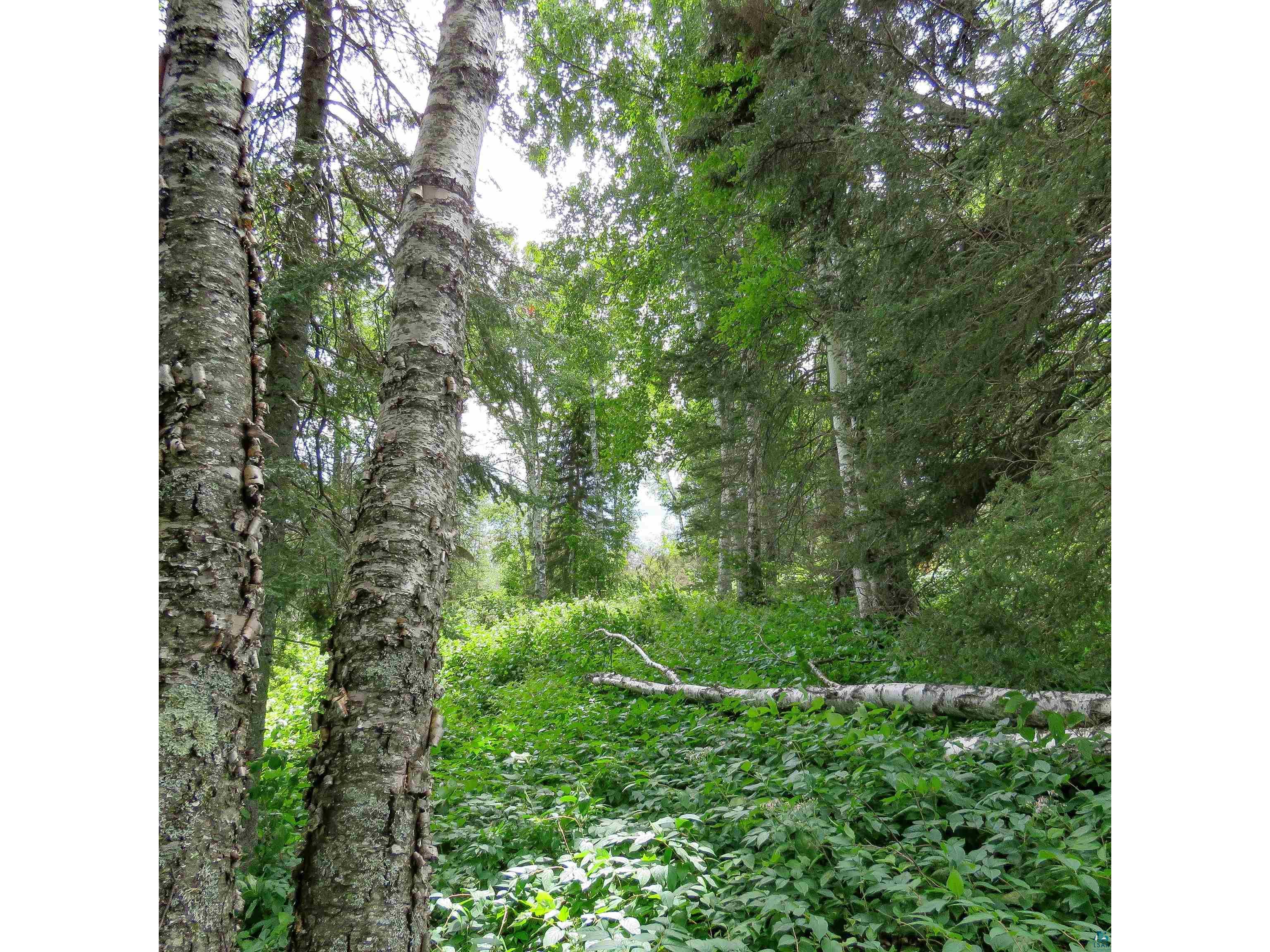 xxx Hoaglund Dr Tofte MN 55615 6121512 image28