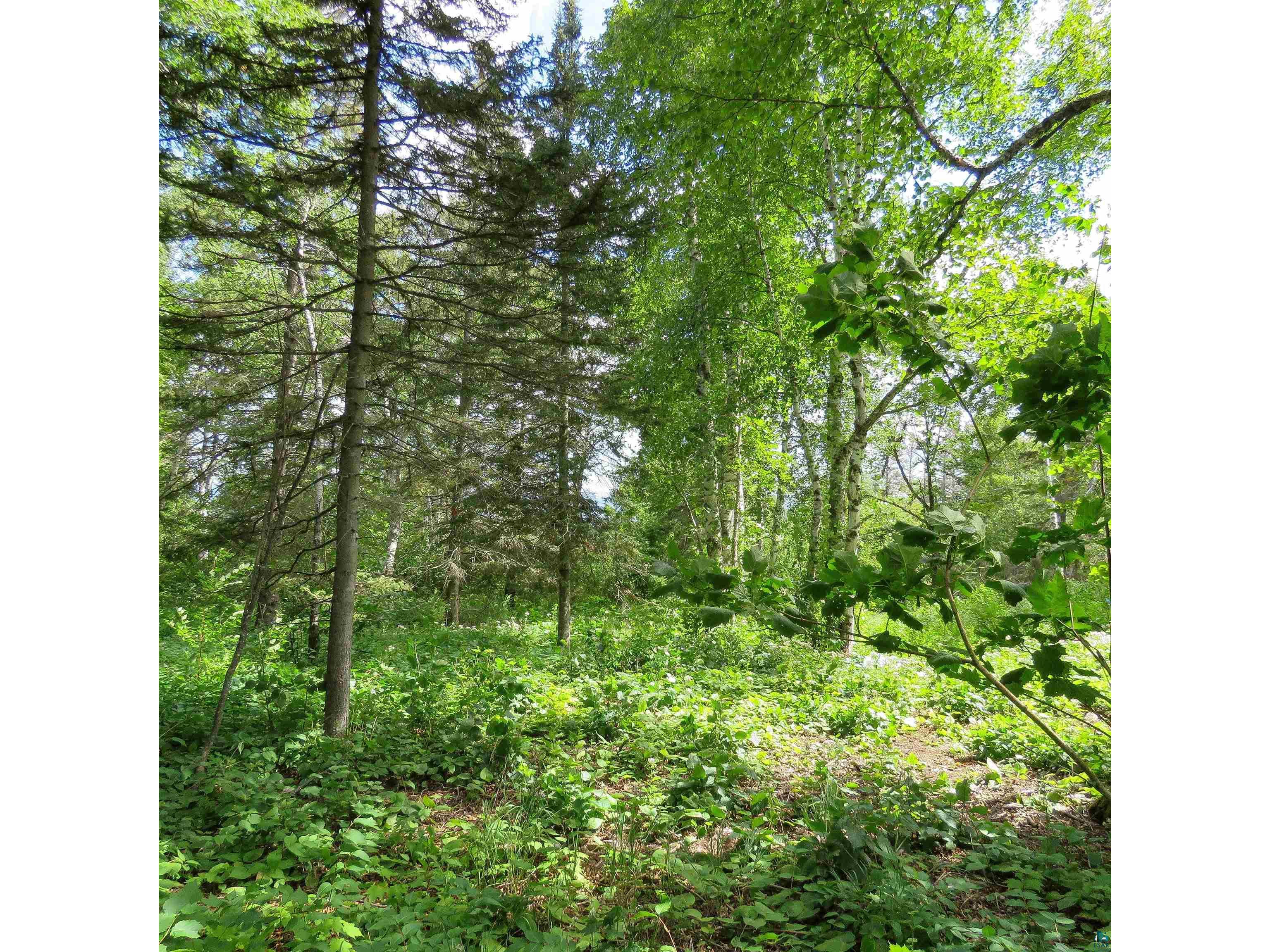 xxx Hoaglund Dr Tofte MN 55615 6121512 image29
