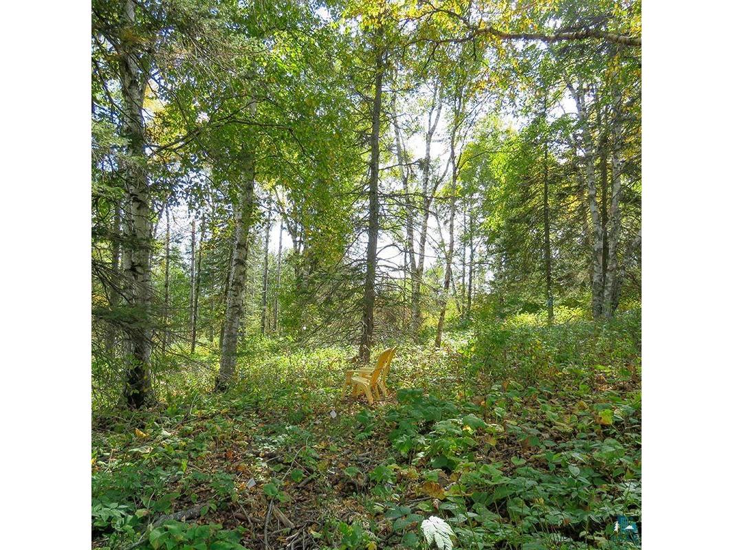 xxx Hoaglund Dr Tofte MN 55615 6121512 image3
