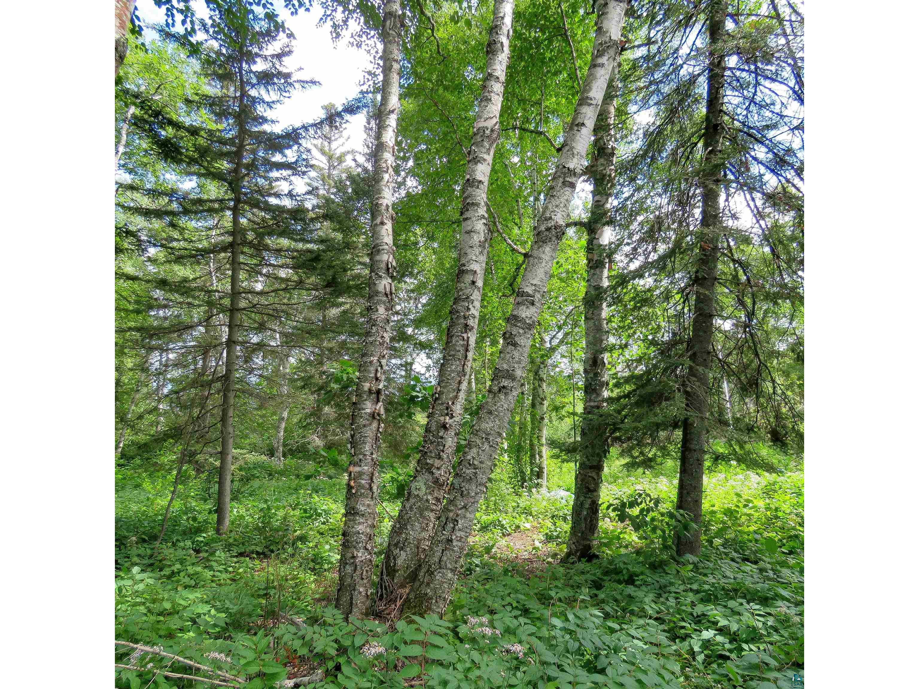xxx Hoaglund Dr Tofte MN 55615 6121512 image30