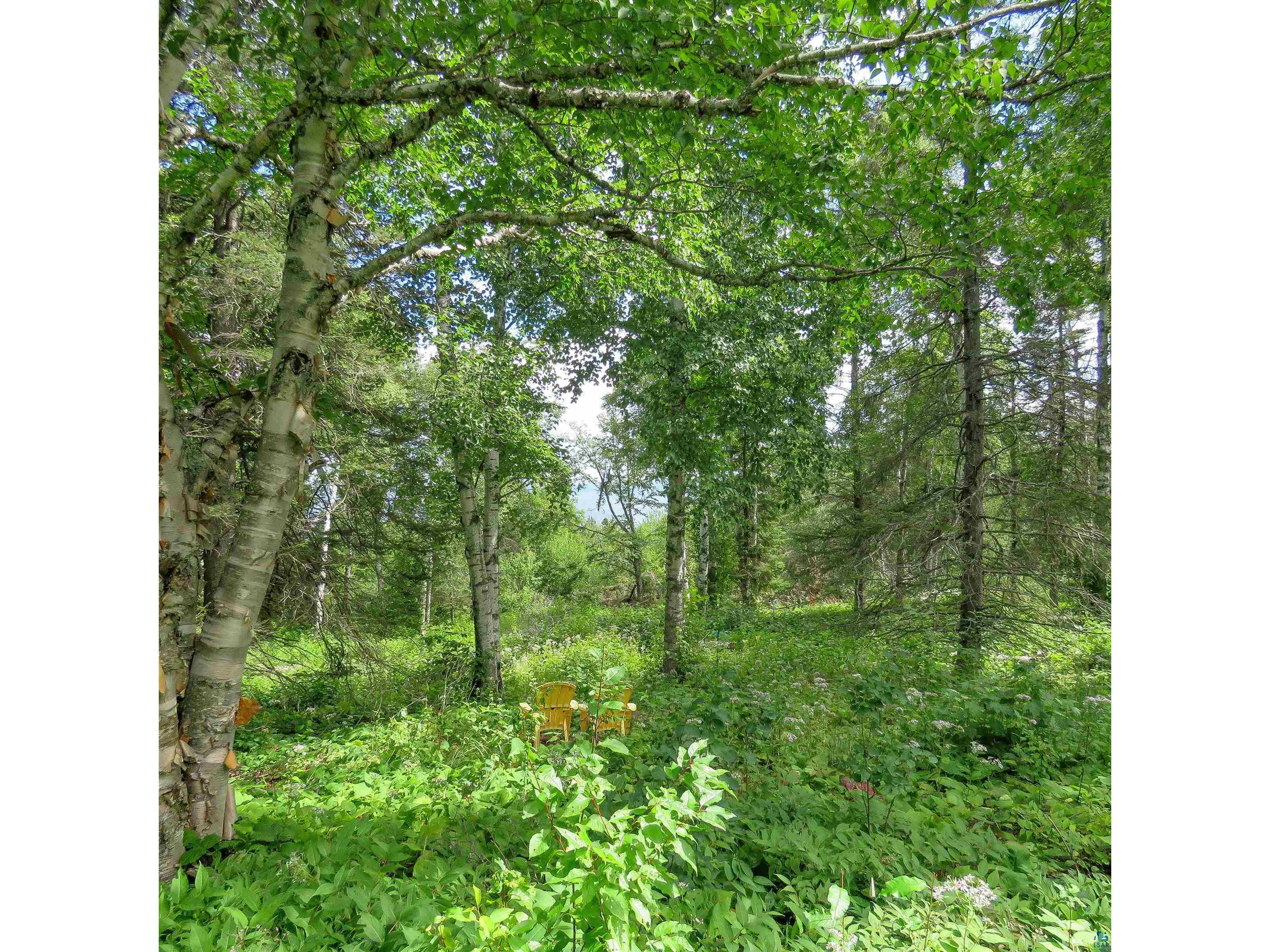 xxx Hoaglund Dr Tofte MN 55615 6121512 image31