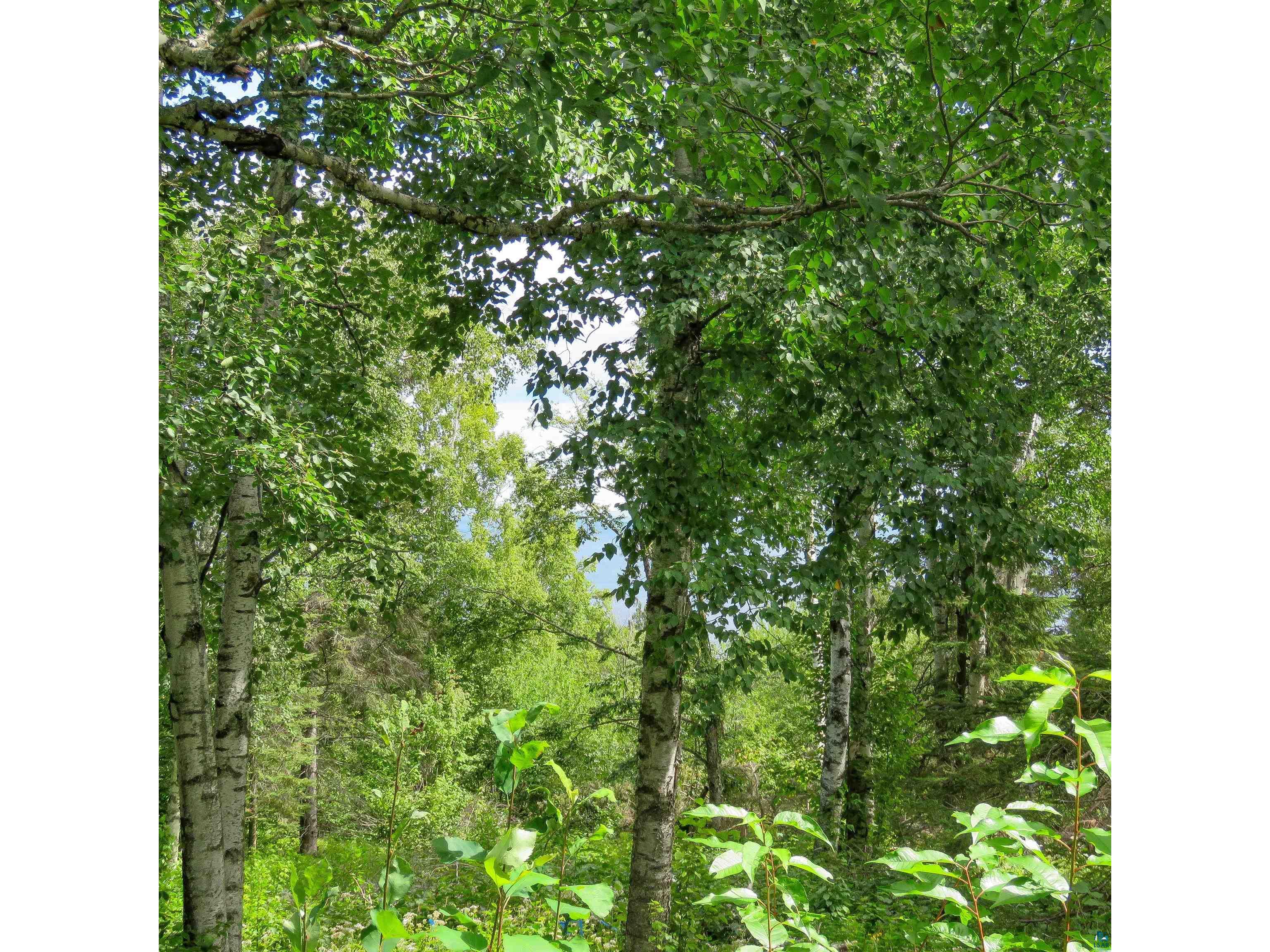 xxx Hoaglund Dr Tofte MN 55615 6121512 image32