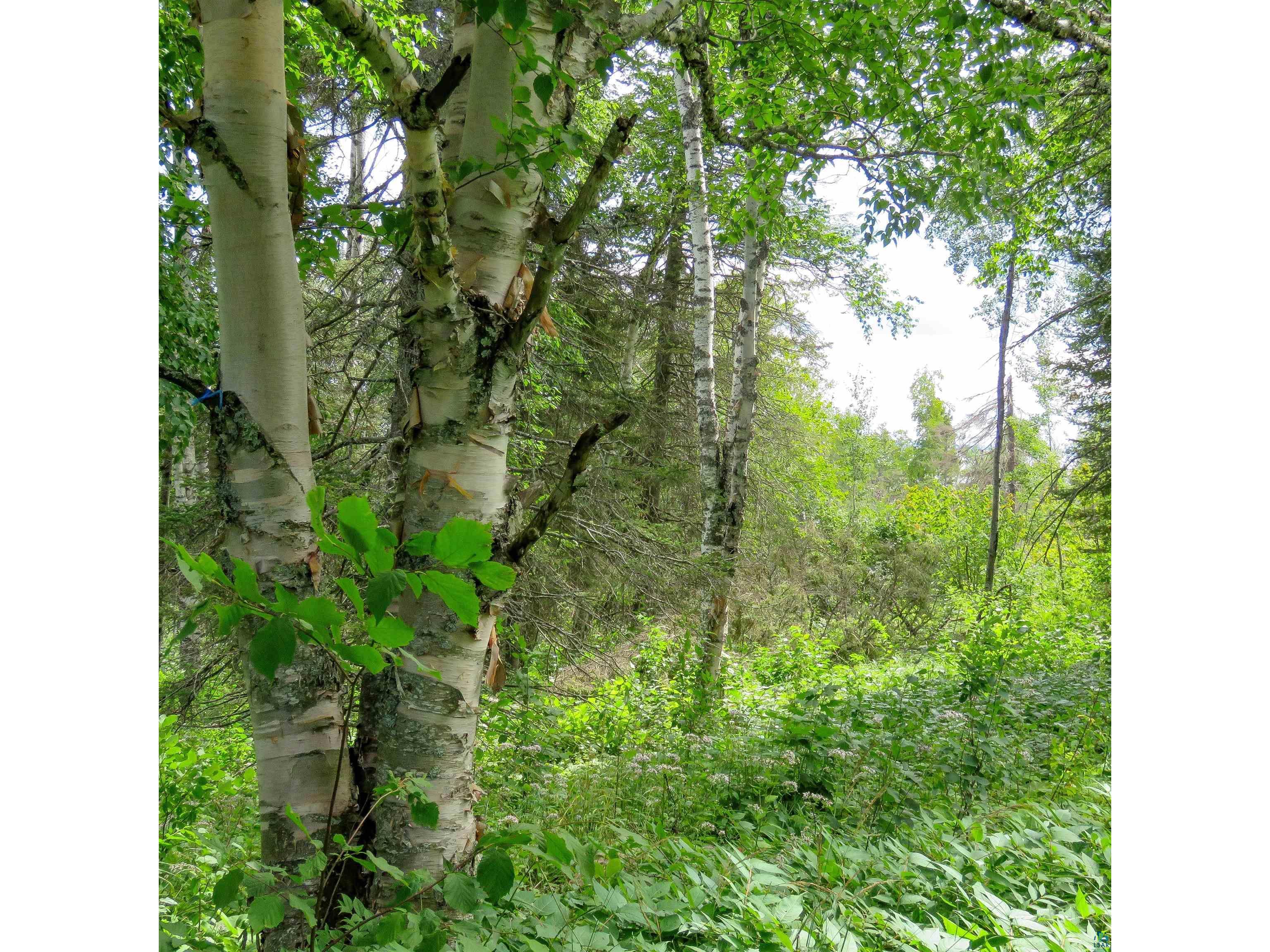 xxx Hoaglund Dr Tofte MN 55615 6121512 image35