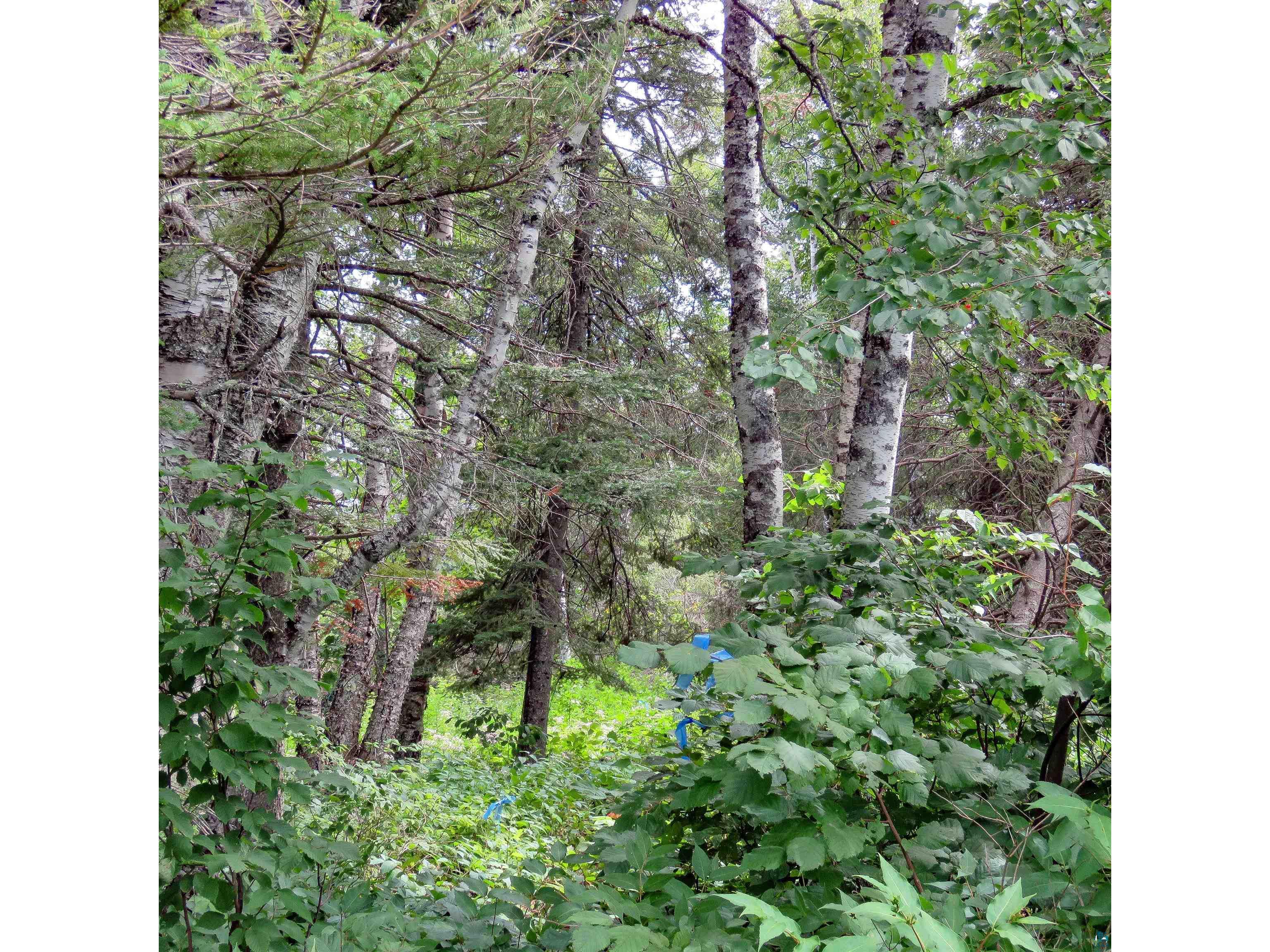xxx Hoaglund Dr Tofte MN 55615 6121512 image37