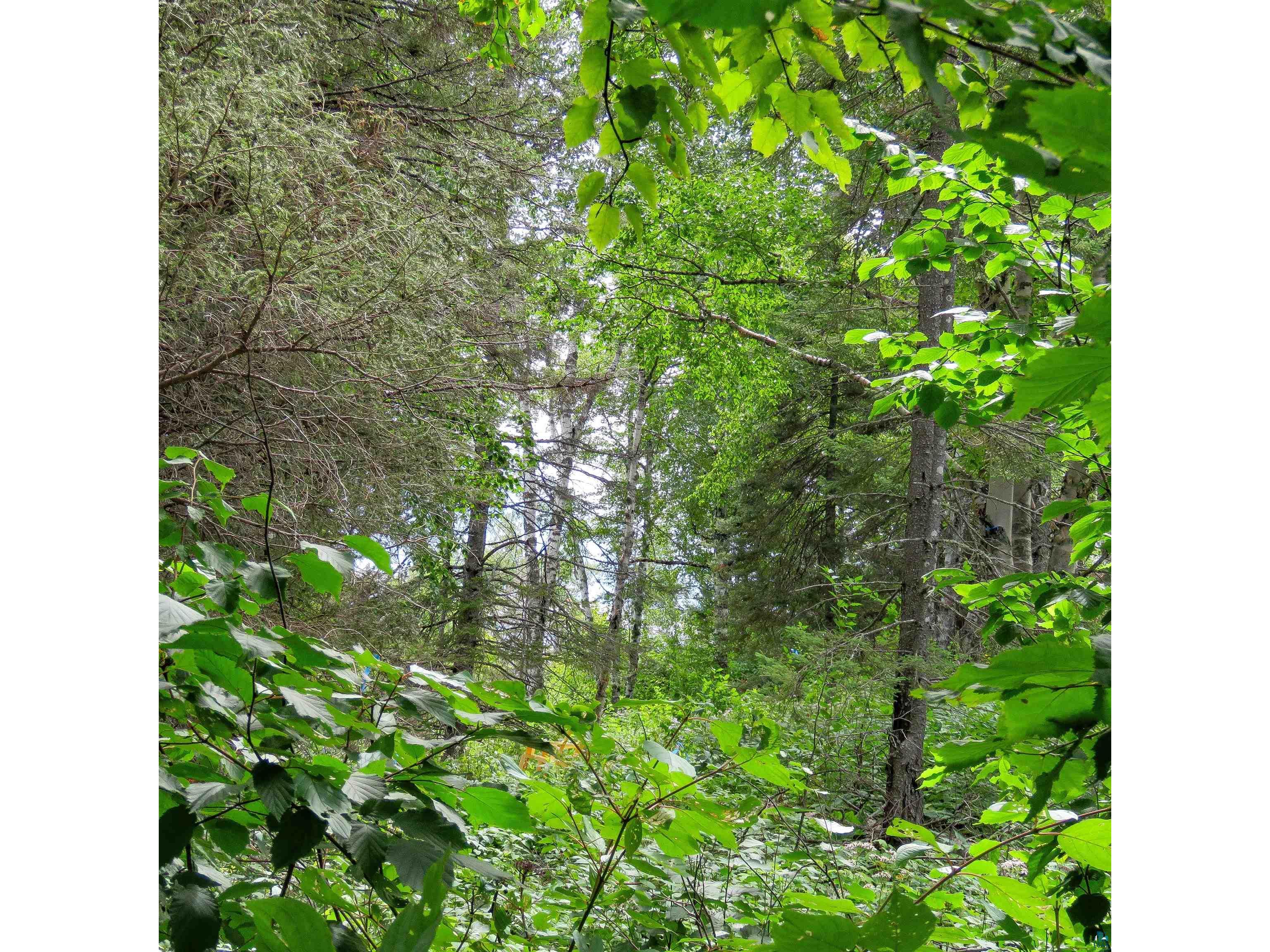 xxx Hoaglund Dr Tofte MN 55615 6121512 image38