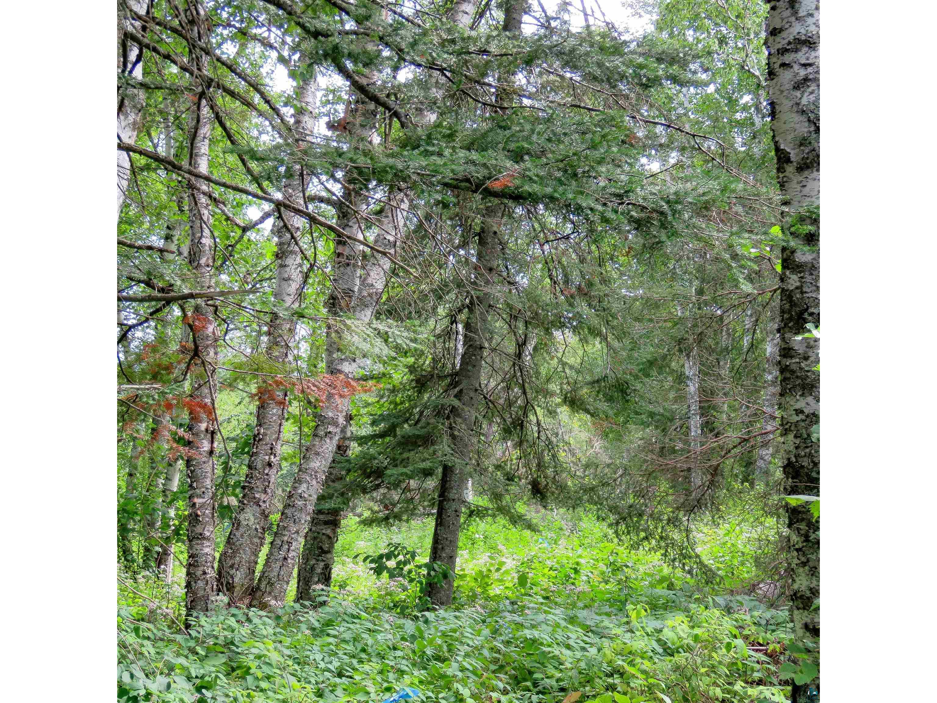 xxx Hoaglund Dr Tofte MN 55615 6121512 image39