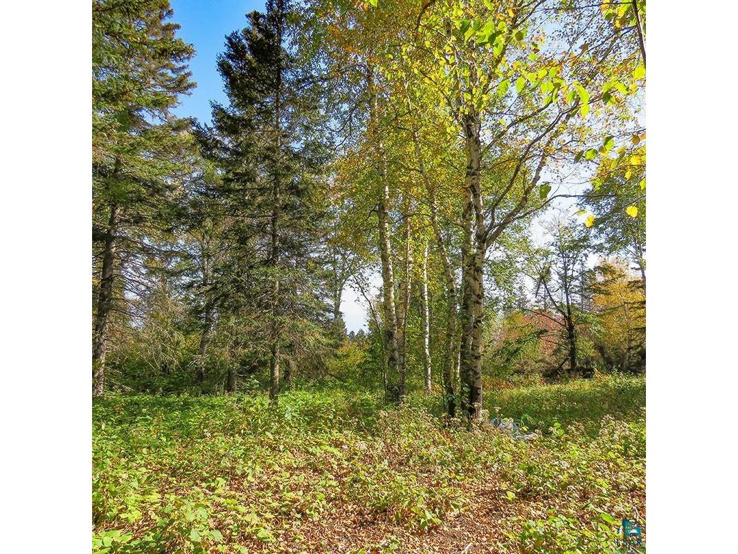 xxx Hoaglund Dr Tofte MN 55615 6121512 image44