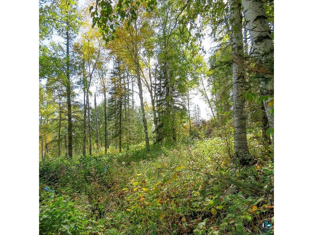 xxx Hoaglund Dr Tofte MN 55615 6121512 image45