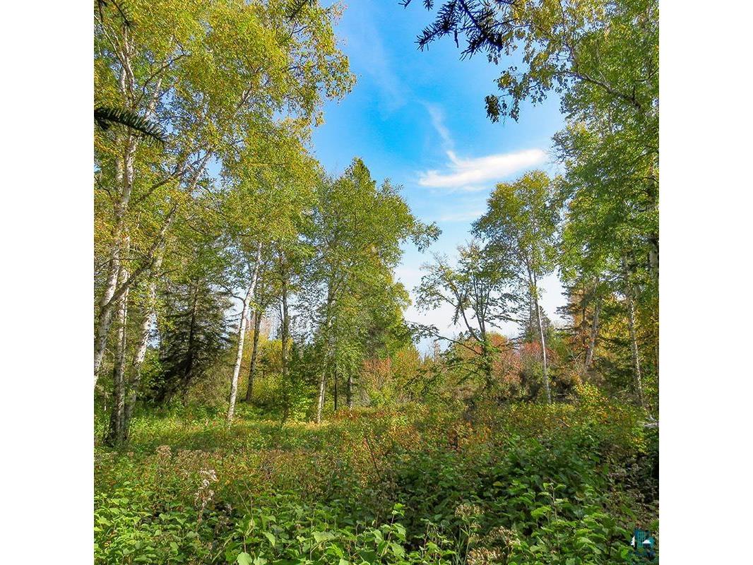 xxx Hoaglund Dr Tofte MN 55615 6121512 image46