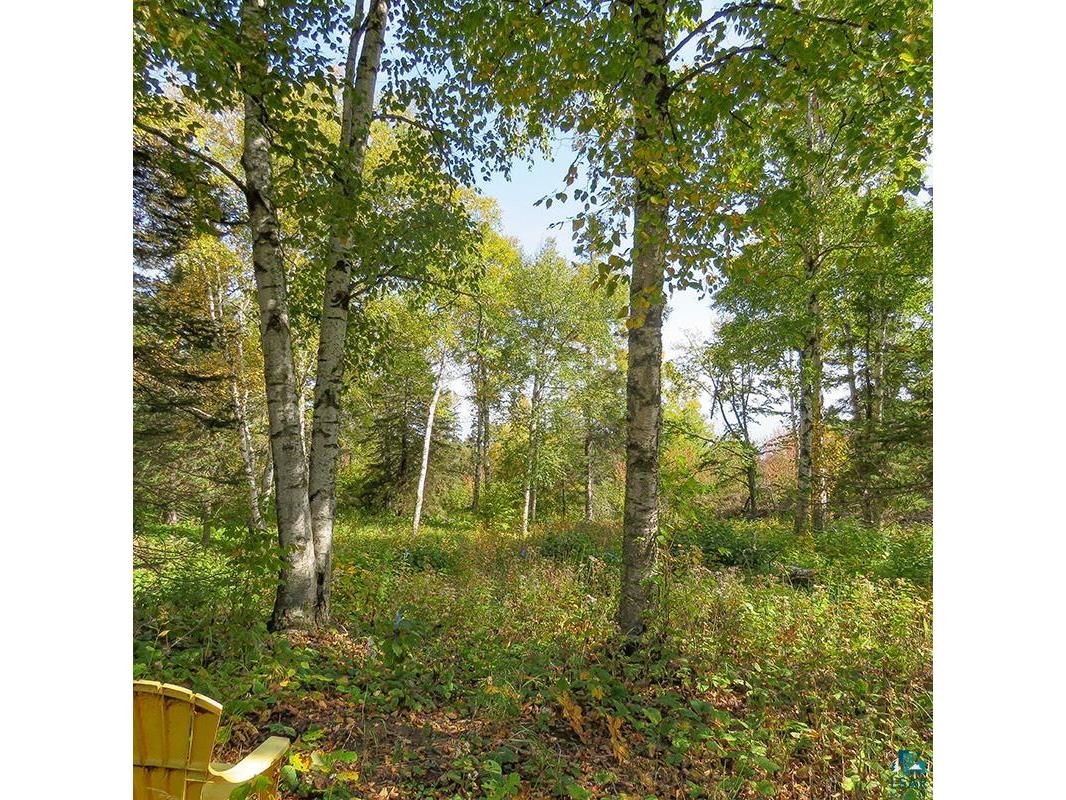 xxx Hoaglund Dr Tofte MN 55615 6121512 image48