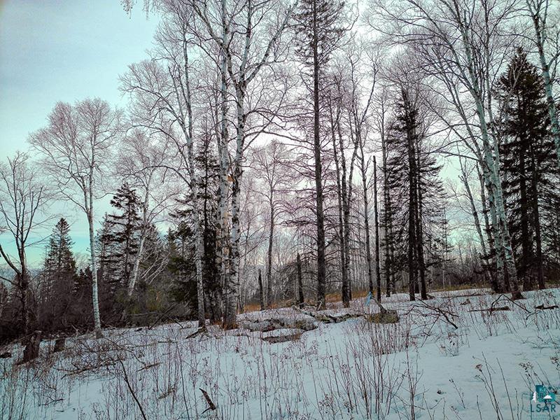 xxx Hoaglund Dr Tofte MN 55615 6121512 image55