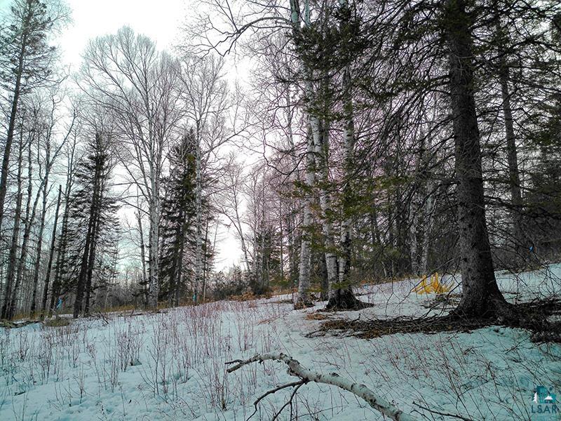 xxx Hoaglund Dr Tofte MN 55615 6121512 image59