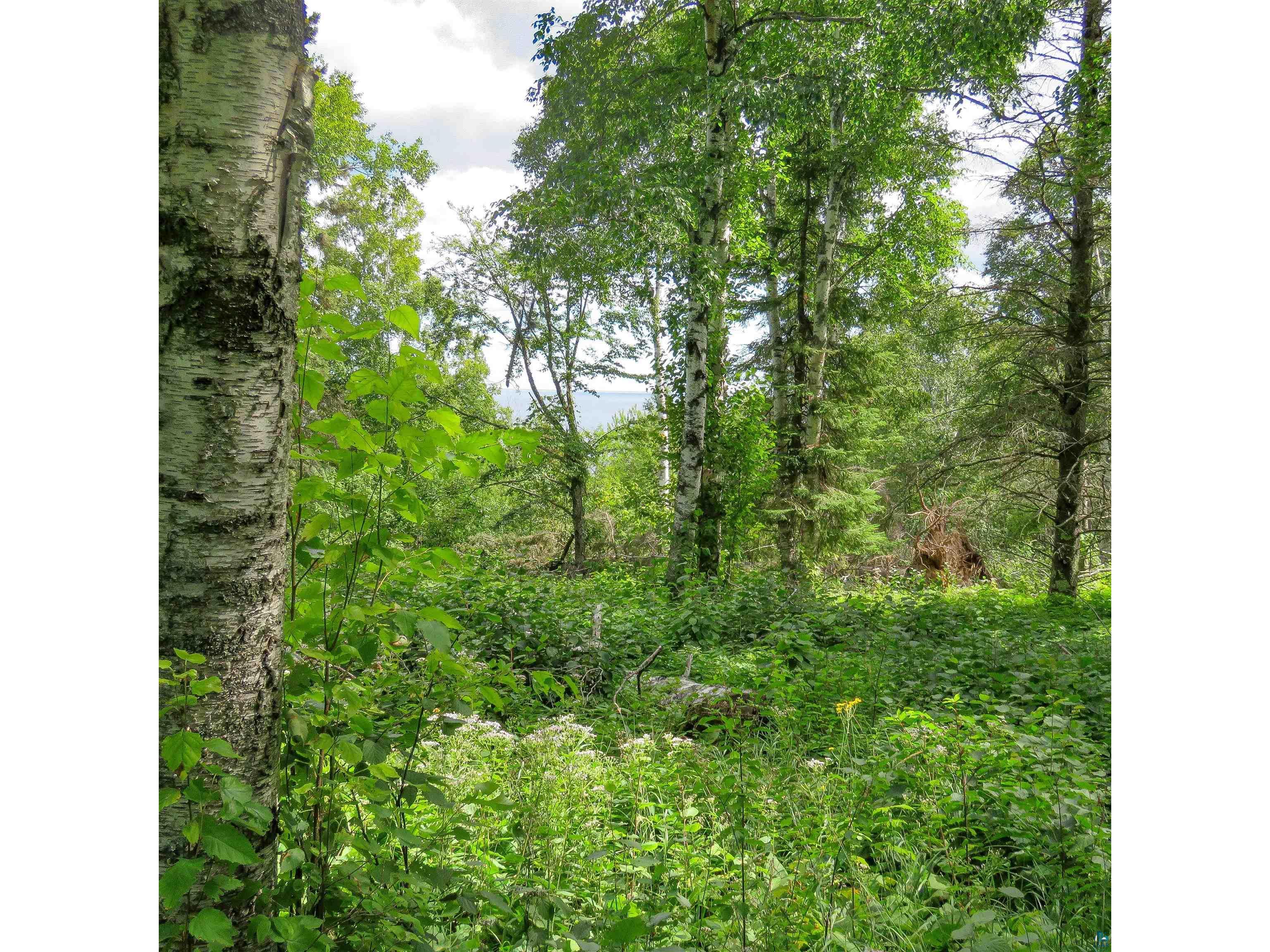 xxx Hoaglund Dr Tofte MN 55615 6121512 image6