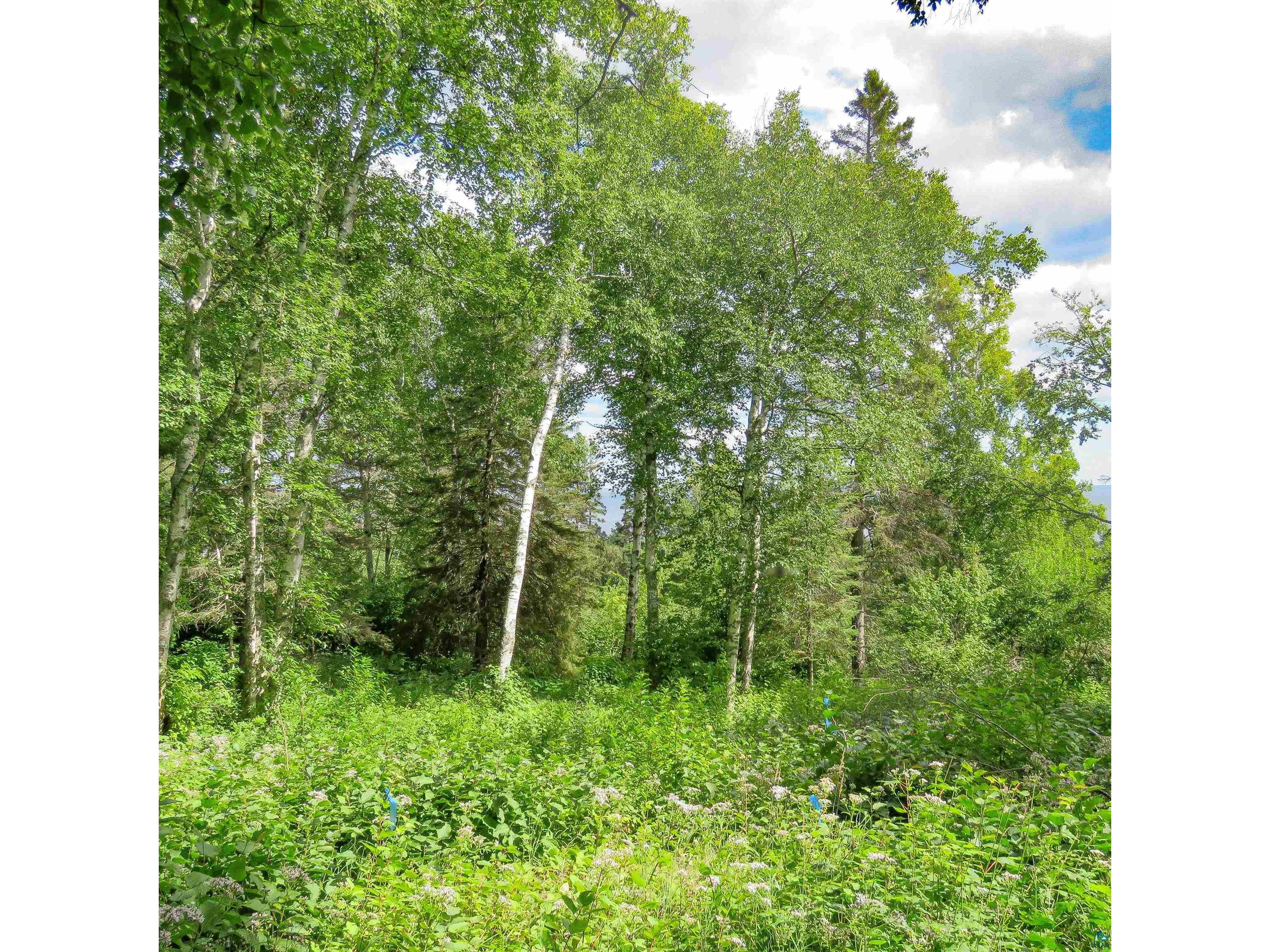 xxx Hoaglund Dr Tofte MN 55615 6121512 image7