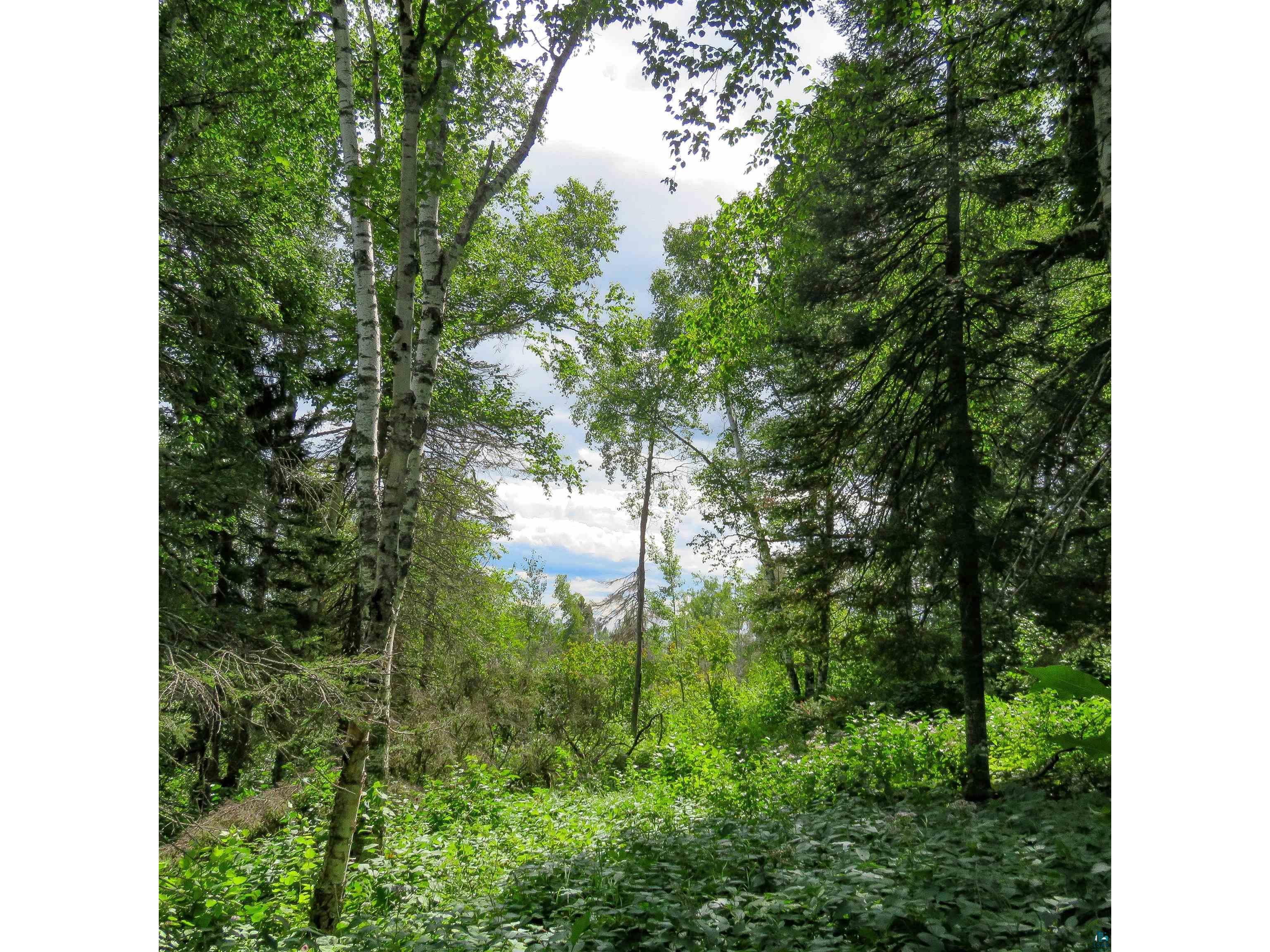 xxx Hoaglund Dr Tofte MN 55615 6121512 image9