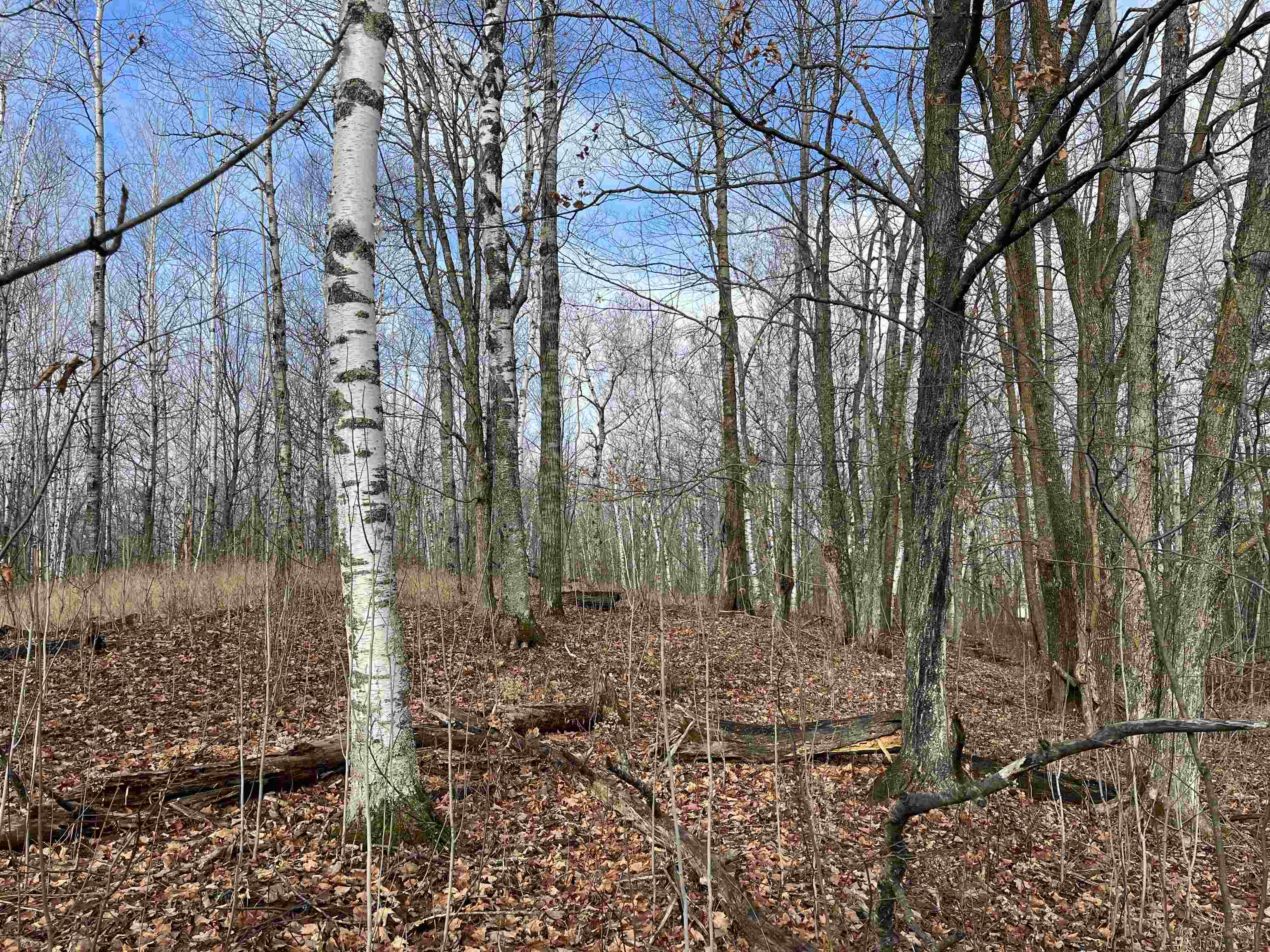 xxx Lavaque Rd Hermantown MN 55811 6122261 image10