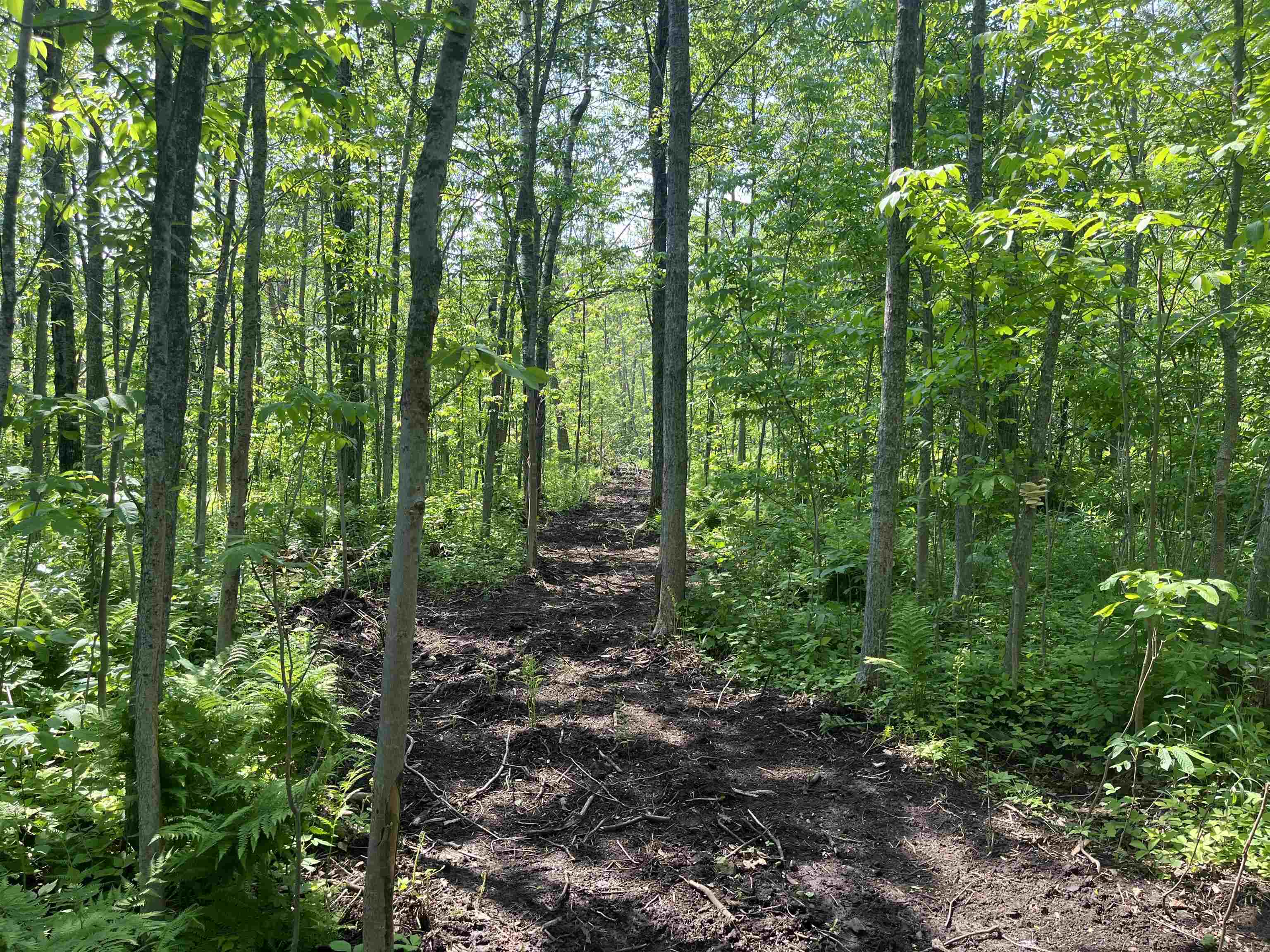 xxx Lavaque Rd Hermantown MN 55811 6122261 image5