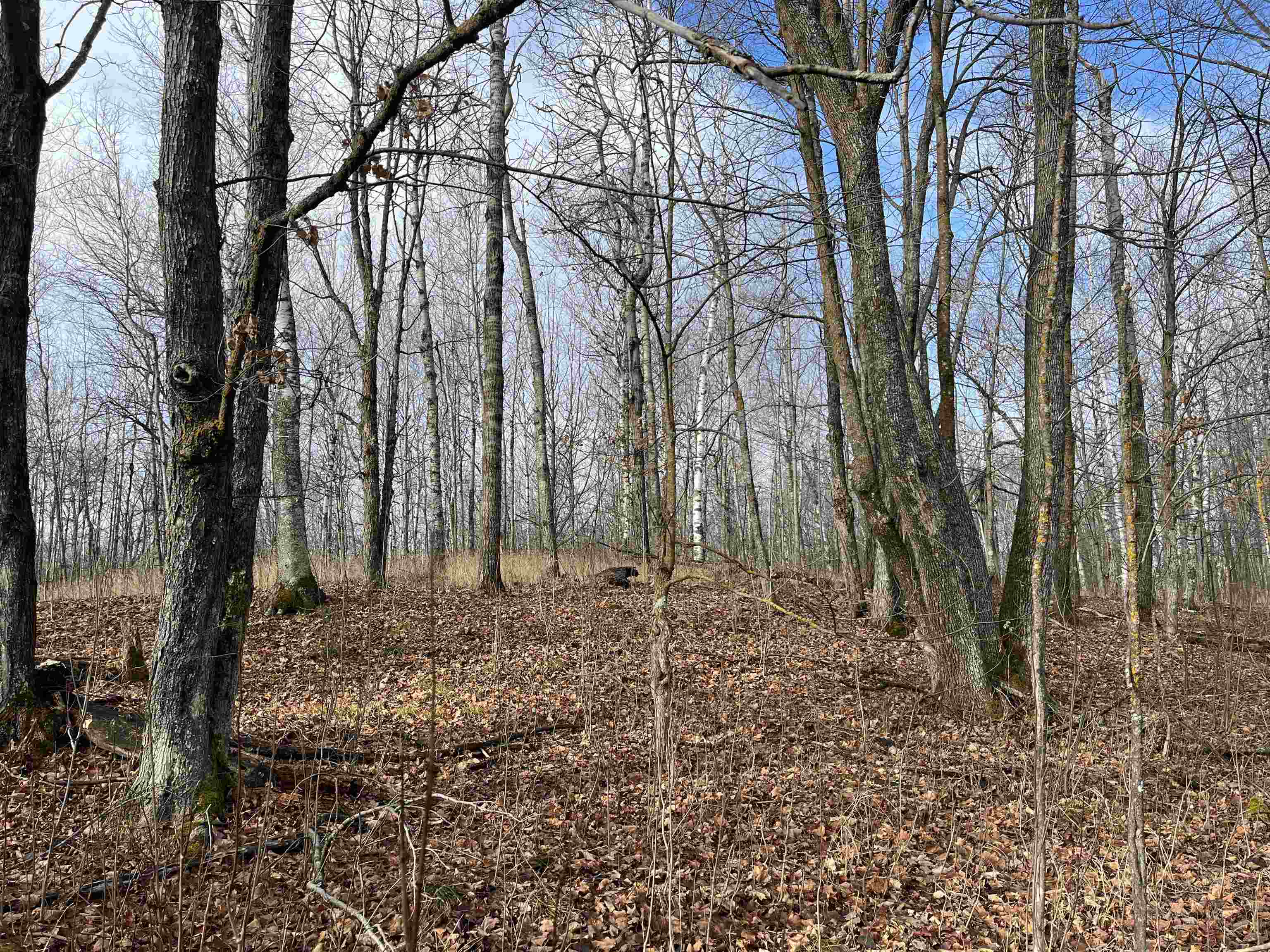 xxx Lavaque Rd Hermantown MN 55811 6122261 image7