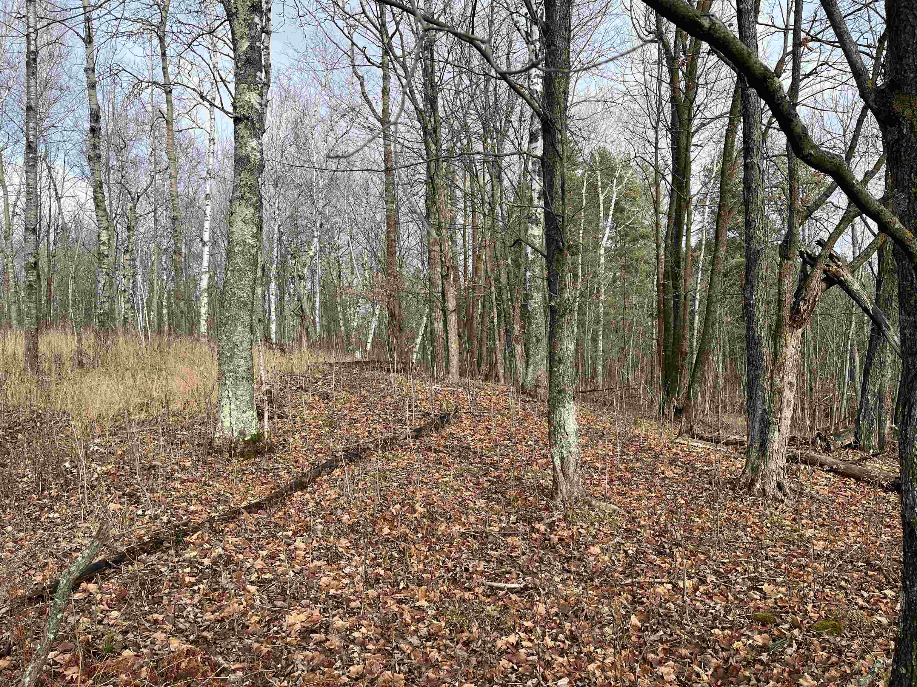 xxx Lavaque Rd Hermantown MN 55811 6122261 image8