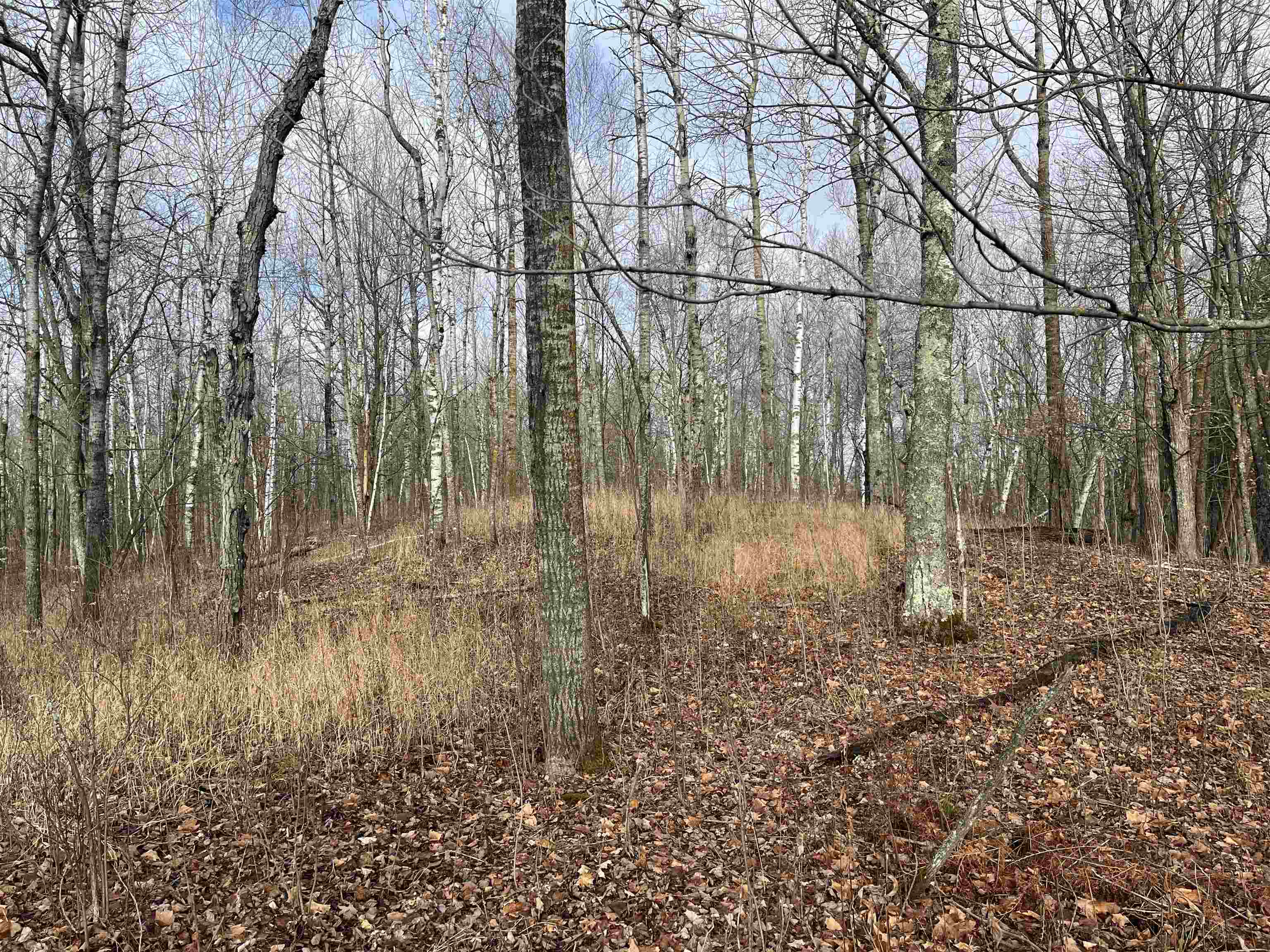 xxx Lavaque Rd Hermantown MN 55811 6122261 image9