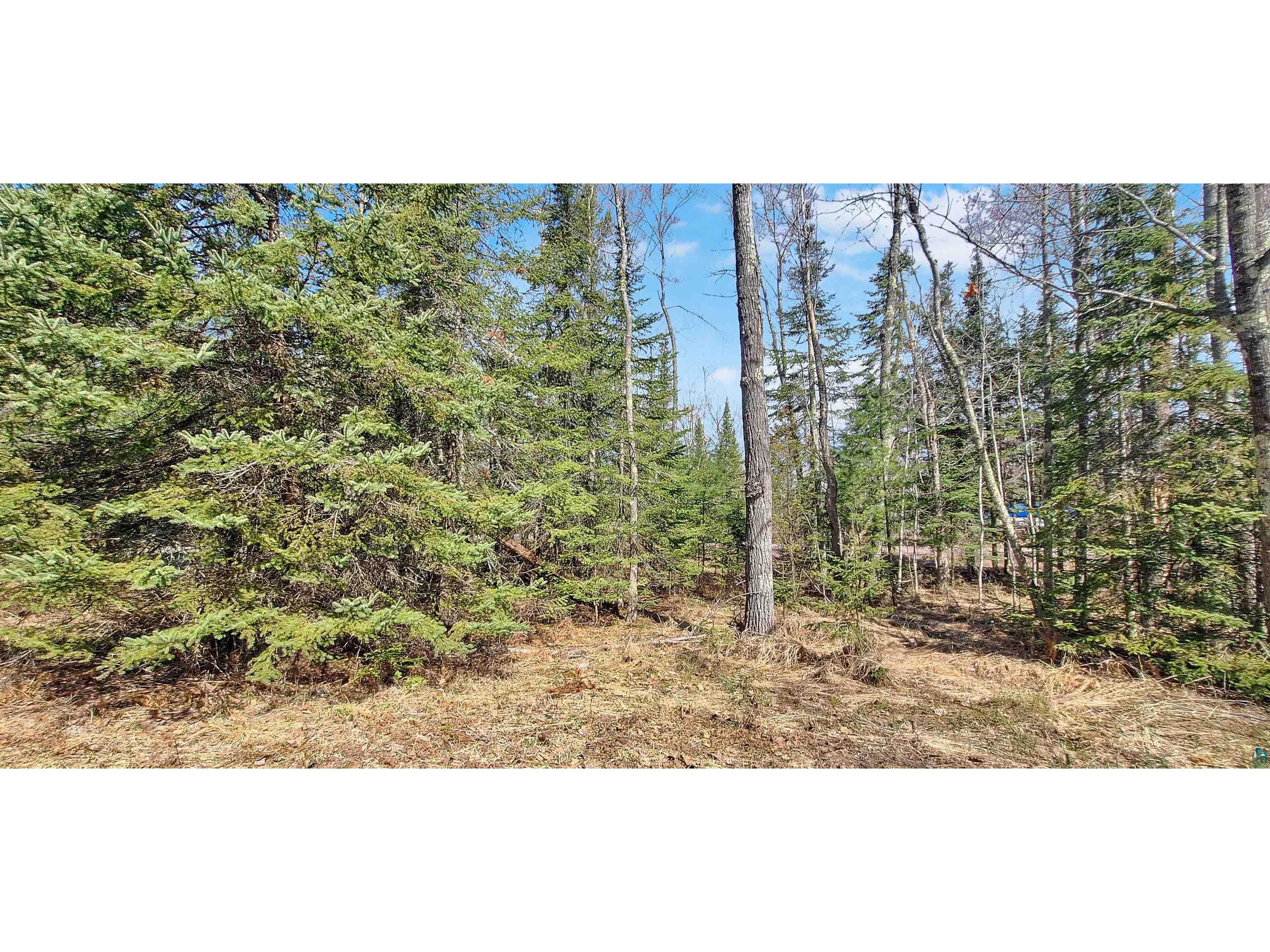 xxx Mondamin Tr Lapointe WI 54850 6125285 image3