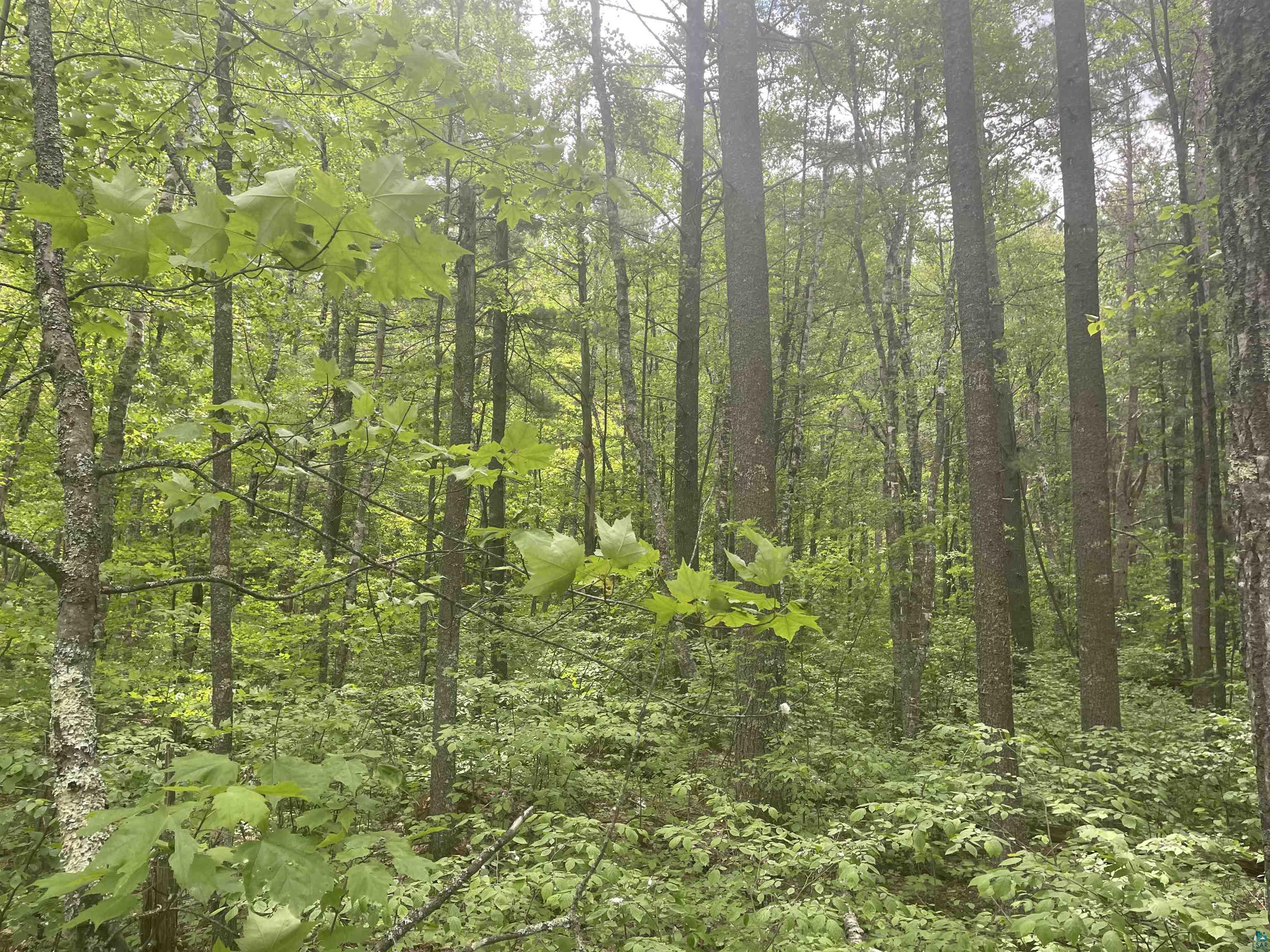 xxx Muckwa Lake Rd Babbitt MN 55706 6113640 image1