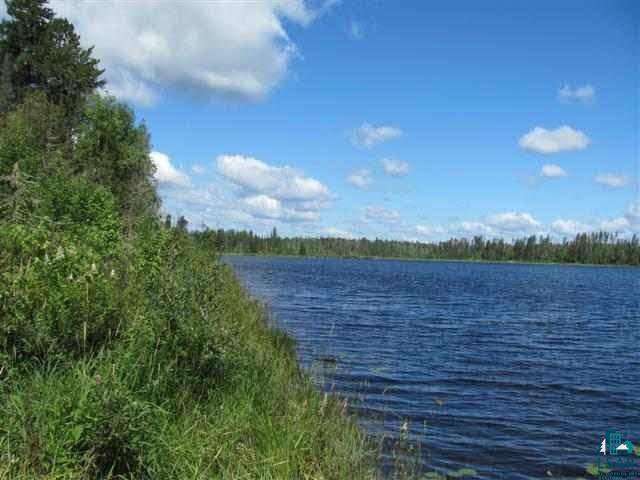 xxx Murray Forest Rd Ely MN 55731 - Five 1600259 image1