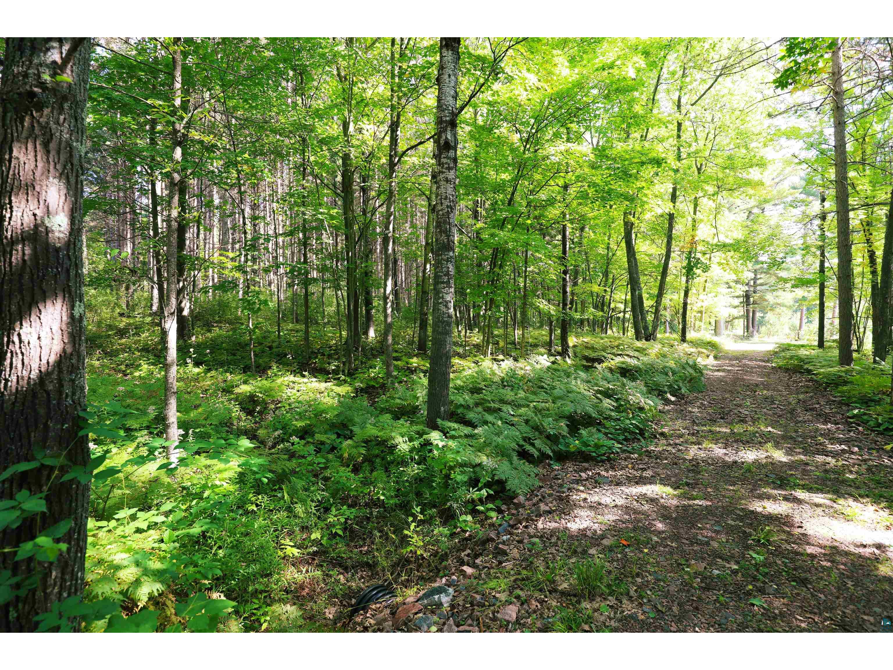 xxx N 10th Ave W Washburn WI 54891 6124208 image10