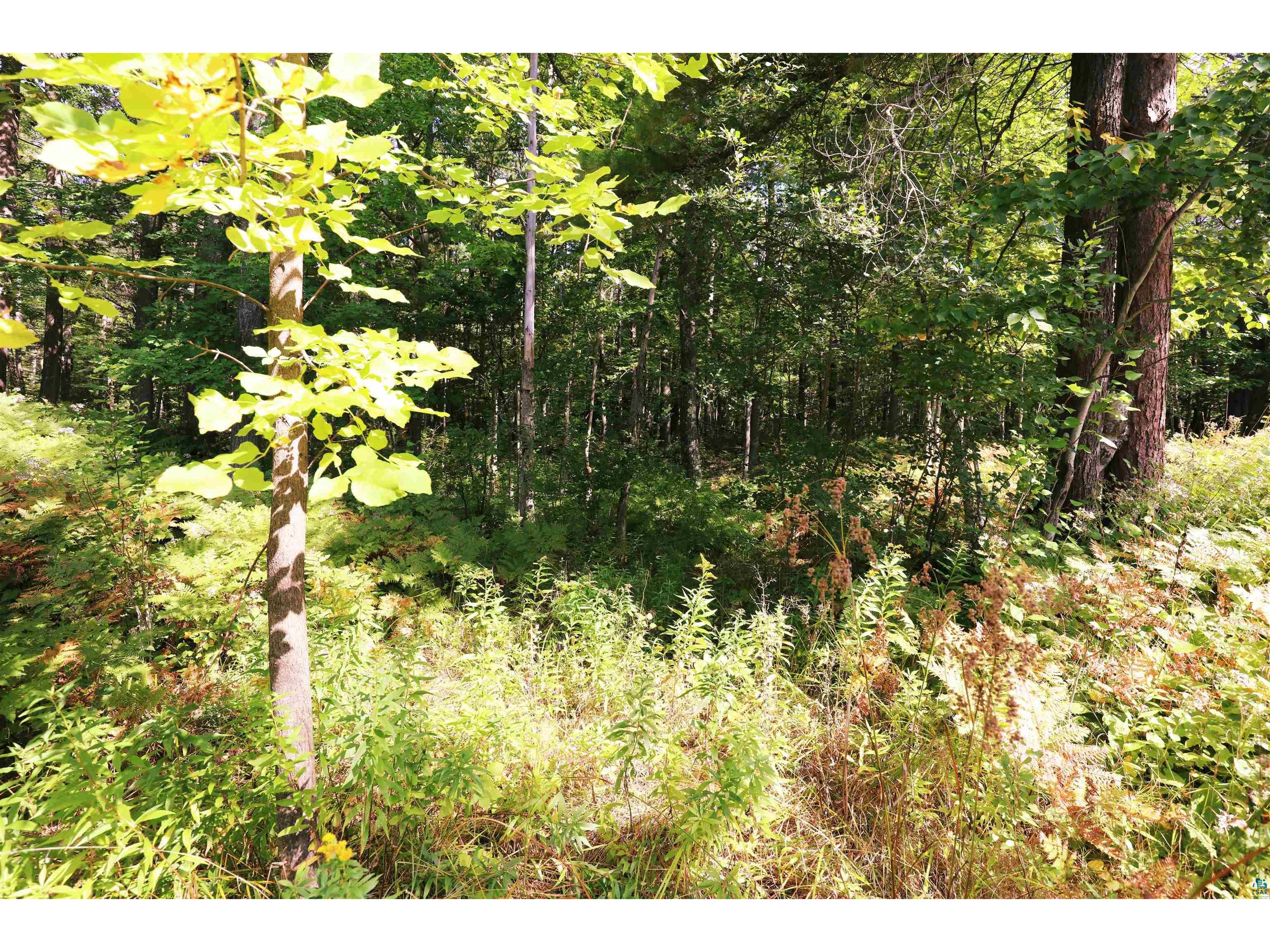 xxx N 10th Ave W Washburn WI 54891 6124208 image3