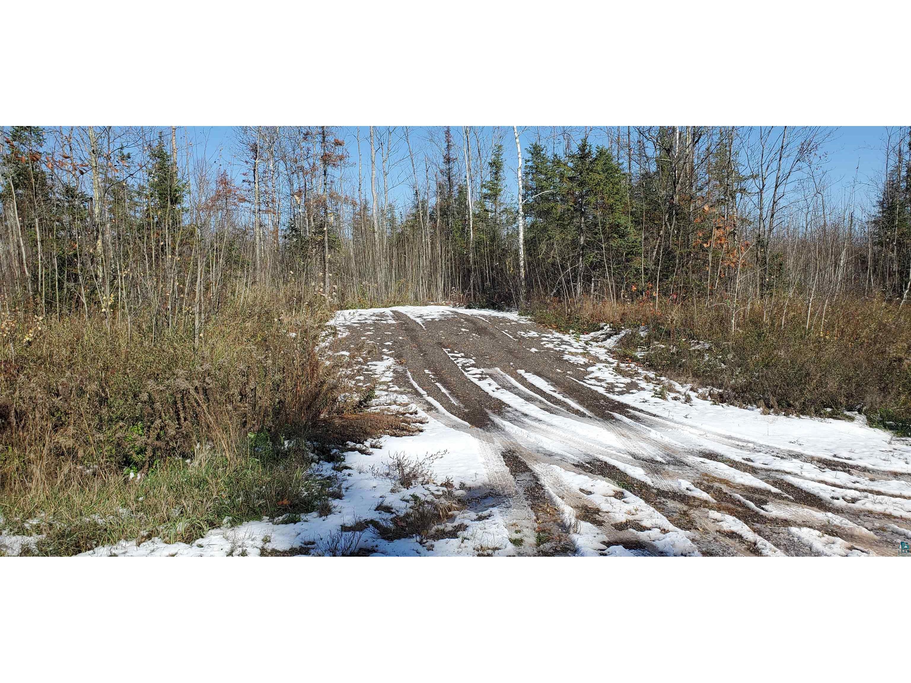 xxx Oulu Pioneer Rd, Brule, WI, 54820 MLS 6111324 Edina Realty