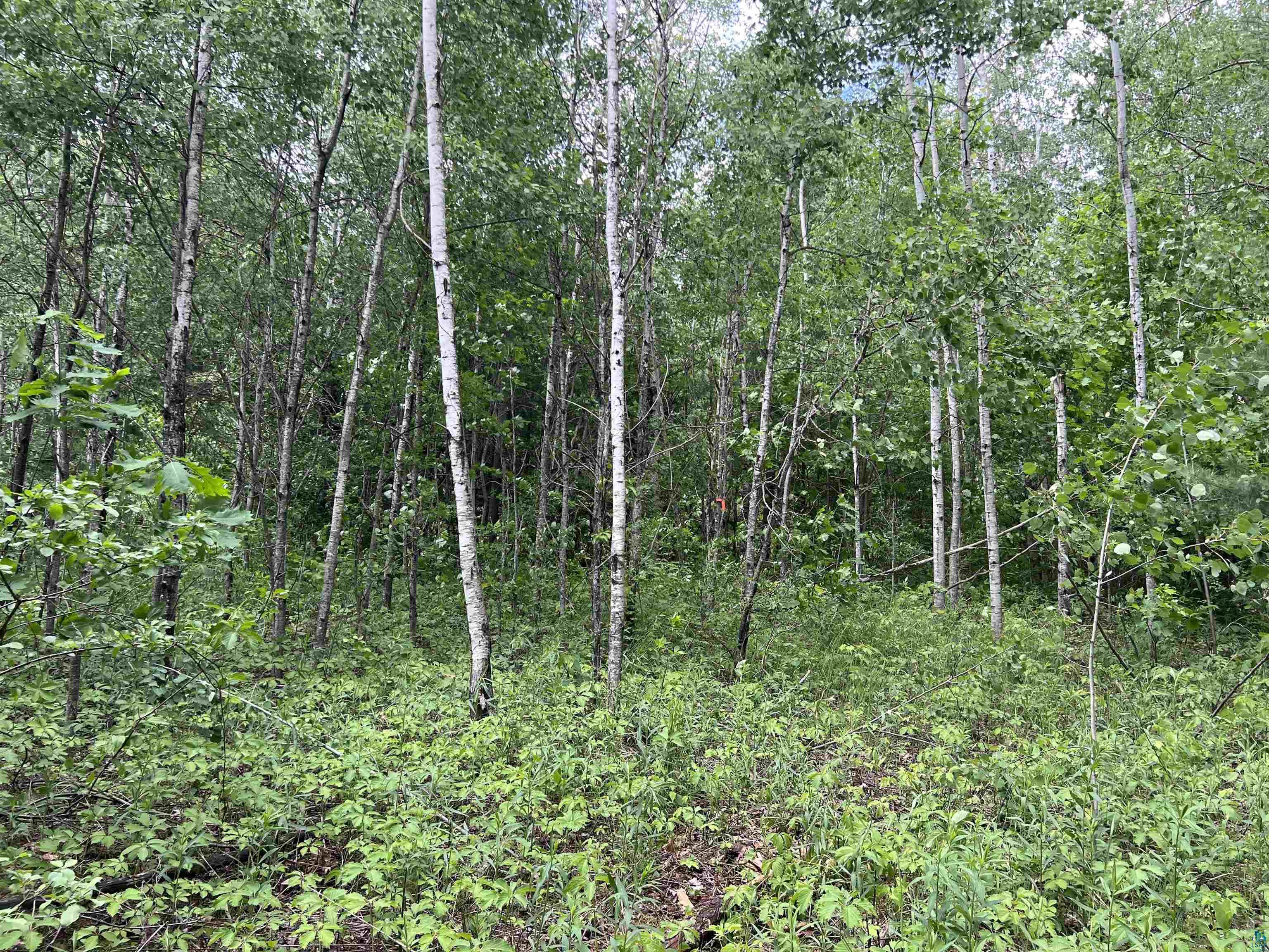 xxx Rice Ave Bayfield WI 54814 6126023 image6